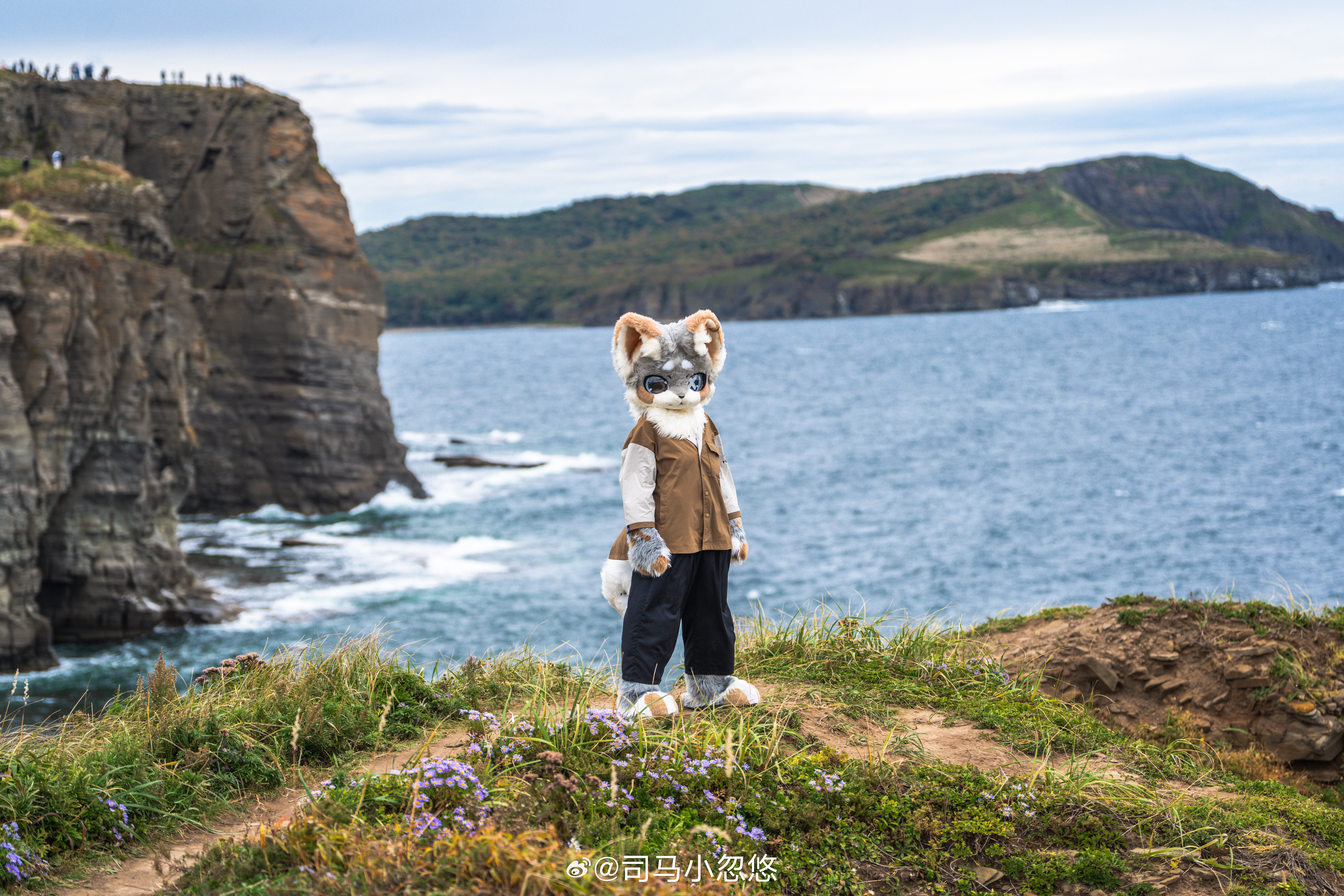 注定我要浪迹天涯，怎么能有牵挂🎵furry[超话] ​​​