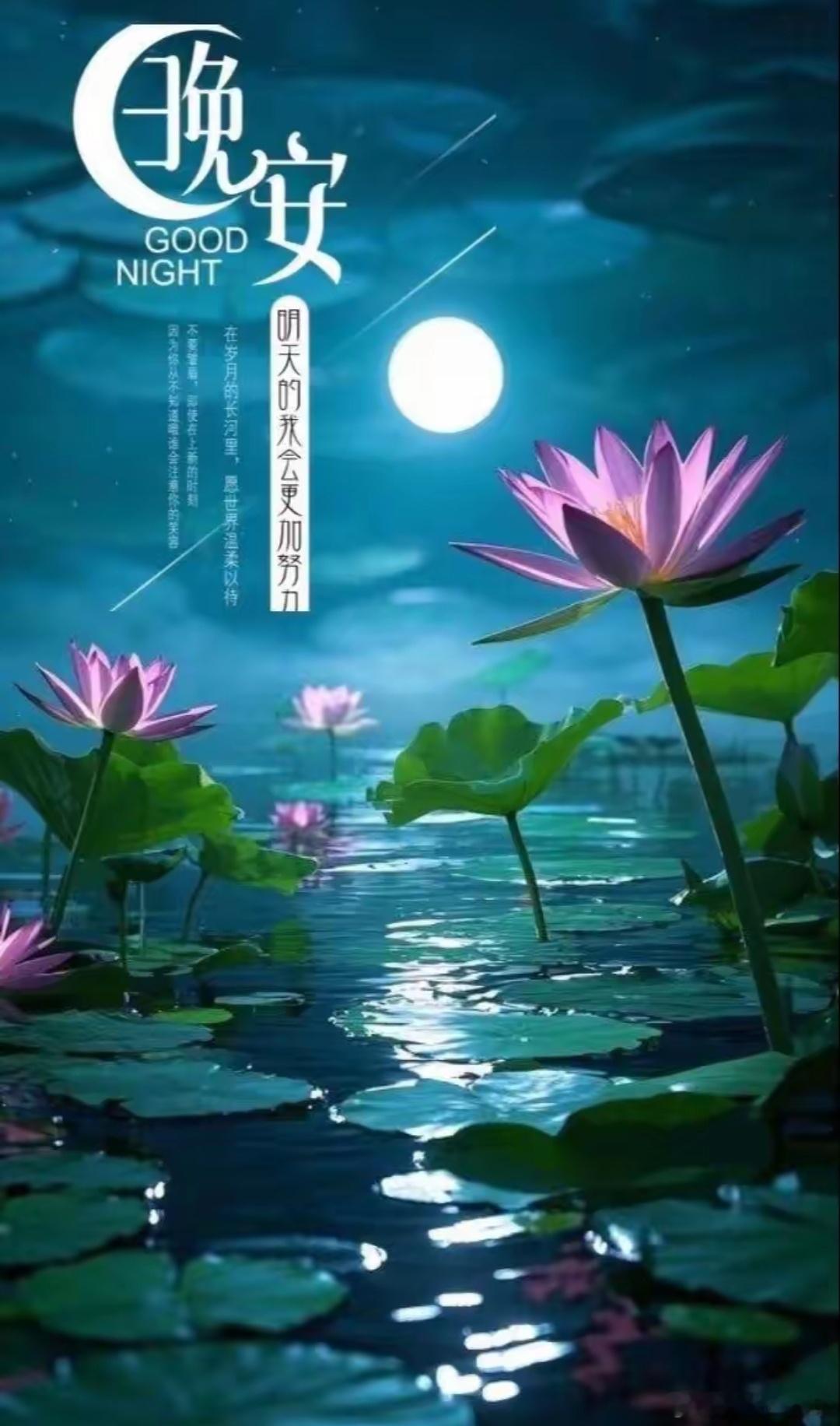 晚安[月亮][月亮]小伙伴们[太开心][太开心] ​​​