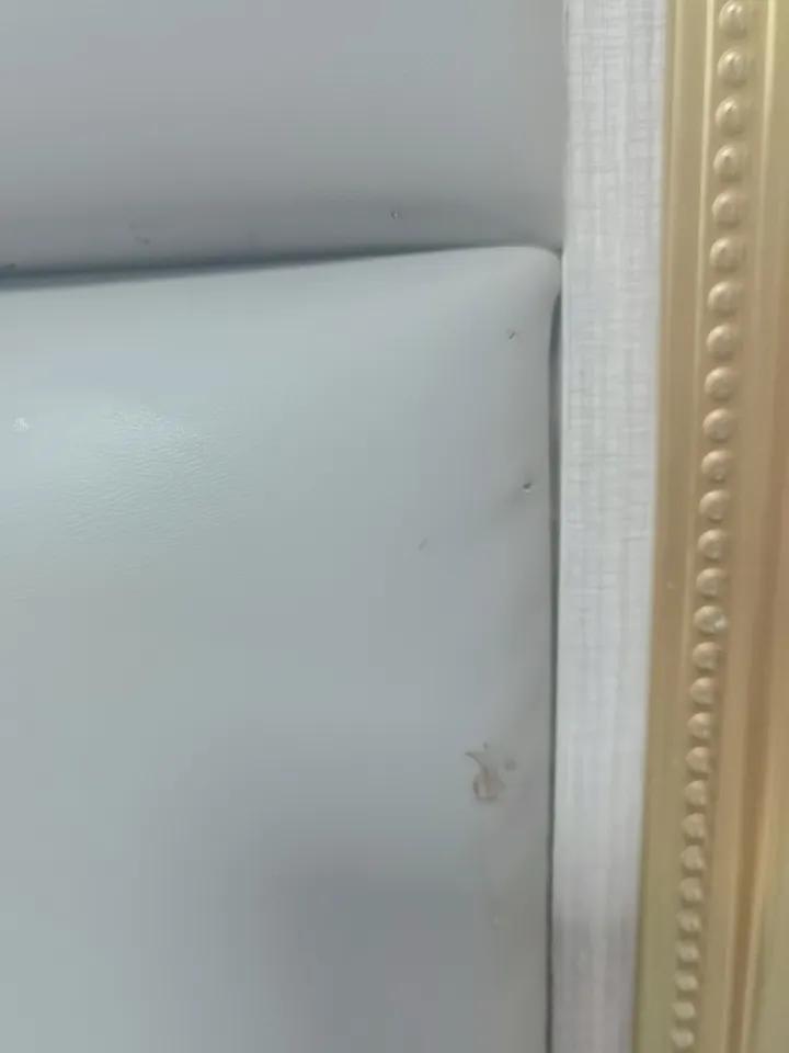 这个春天没有蚊香，简直无法睡觉。睡梦中，不是拍了蚊子，就是把自己抓得面目全非。剪