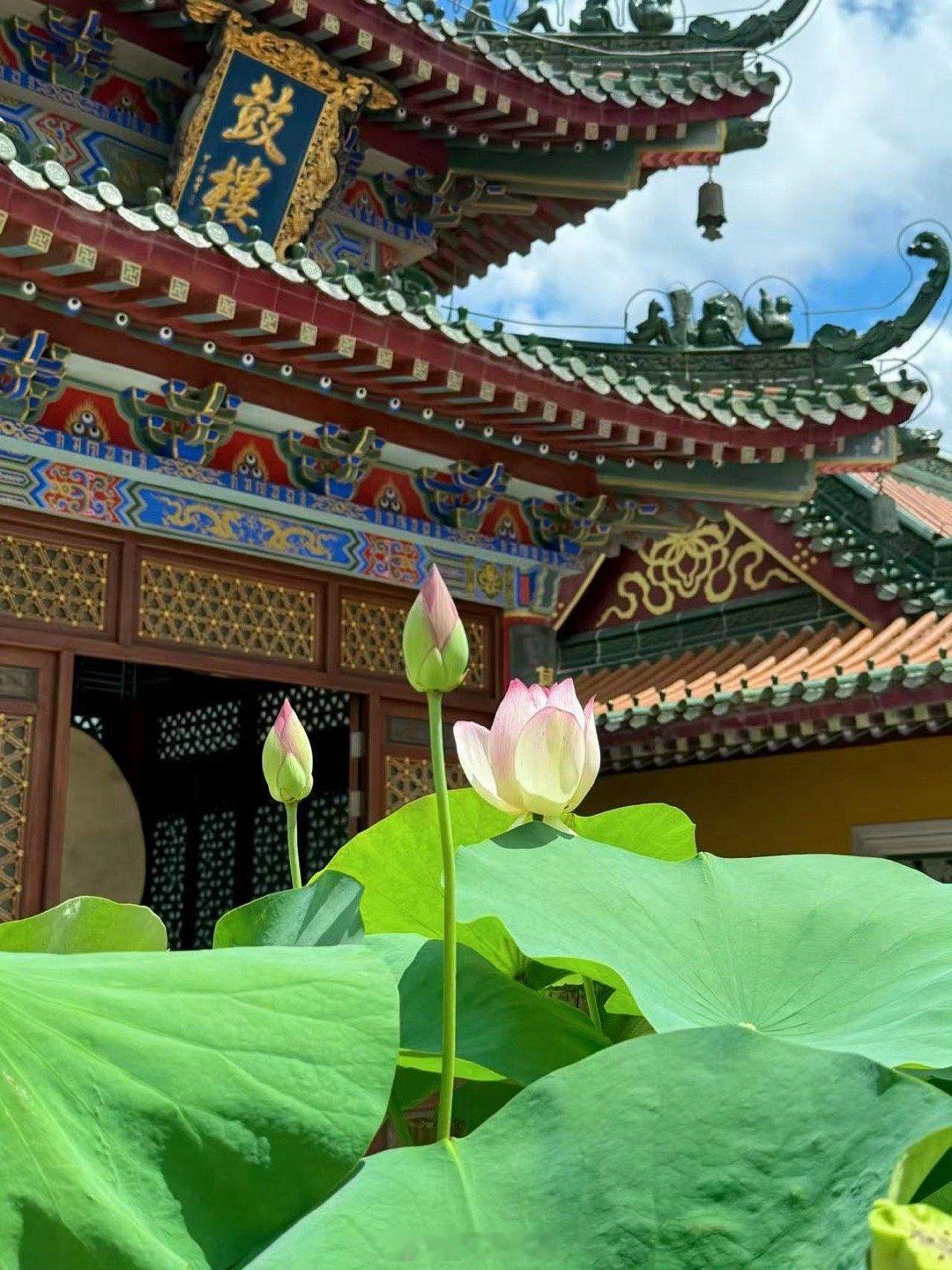 我出生在一个重男轻女的家庭里，我在家里排行老四，前面有两个姐姐，一个哥哥，哥哥排