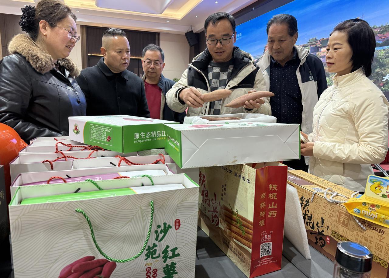“红薯大户”孙世伟：沙苑红薯甜香飘年货会
    （李世居） 元月12日，“跃马