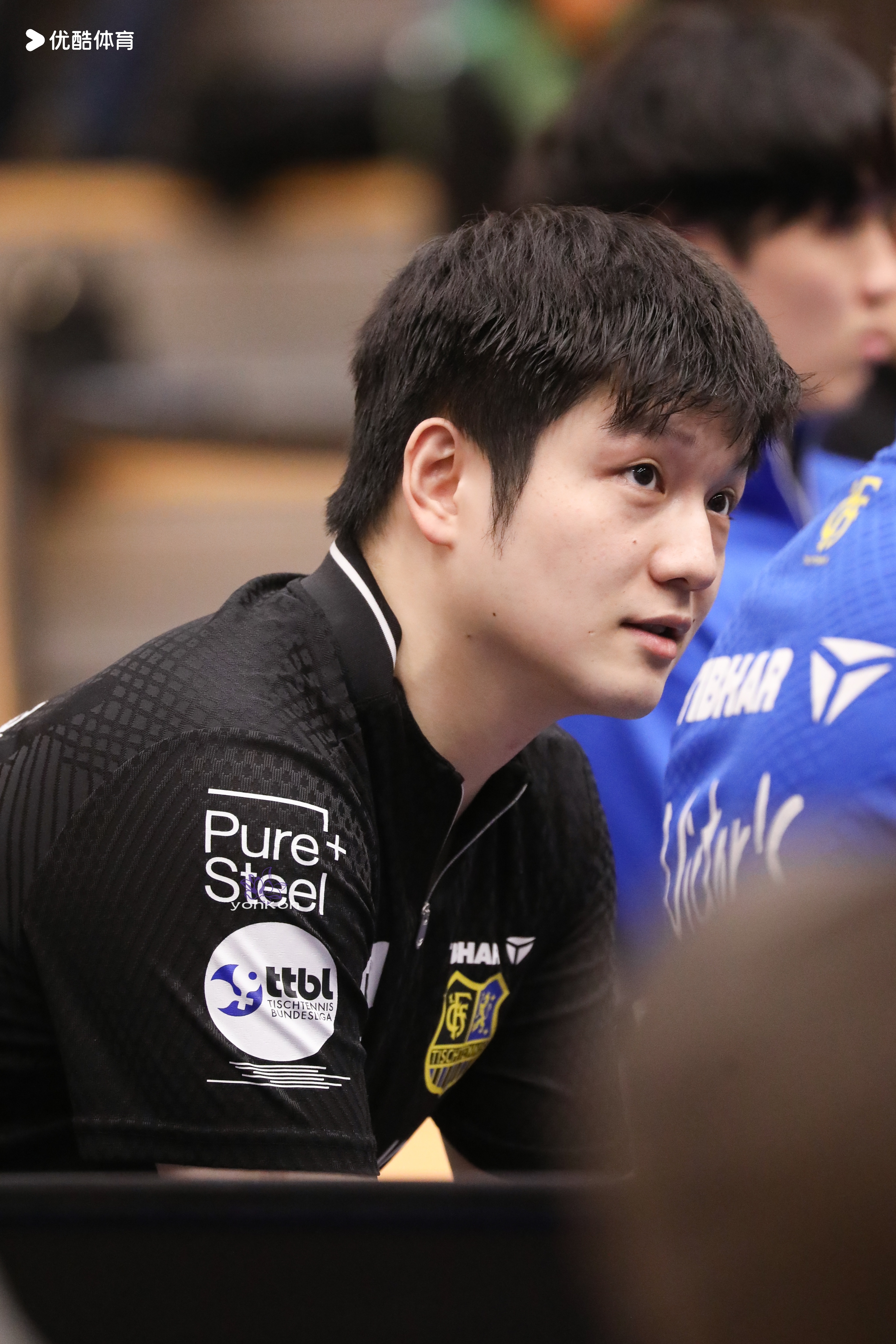 樊振东樊振东德甲德甲乒乓球联赛 每一刻幸福都会被记很久「20260210德甲乒乓
