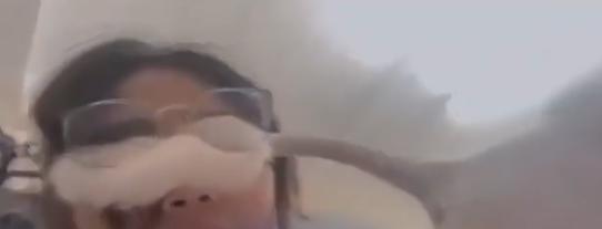 【🐱 当一只猫用脸摩擦你的脸时，它是在将你标记为“它的专属”。】它会留下F4信