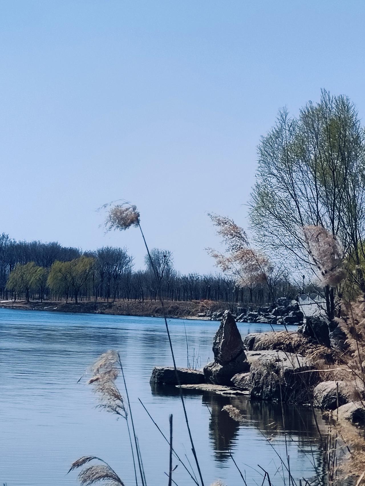 2026最想实现的一件事去旅行，去广西