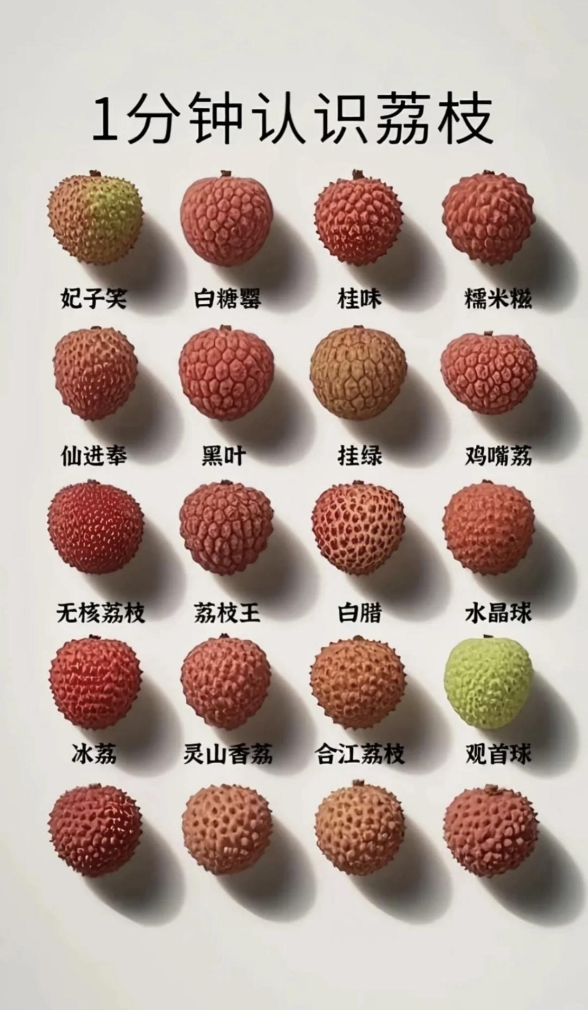 原来荔枝有这么多的品种，你知道吗？
看看你还认识哪些荔枝的新品种，评论区分享一下