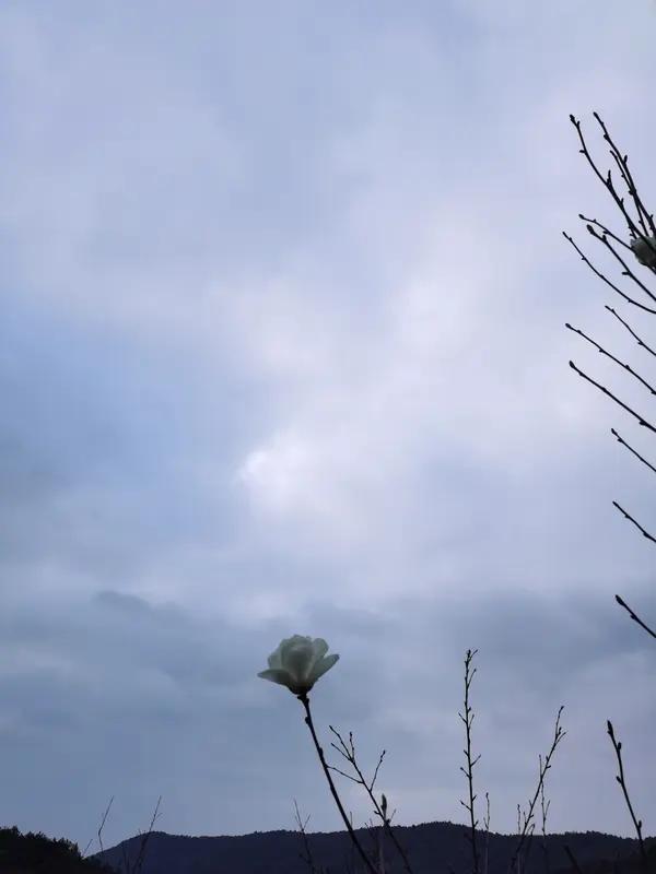 人生低潮时，别慌！这是自我重塑与成长的绝佳契机。
先学会沉淀与反思，停下匆忙脚步