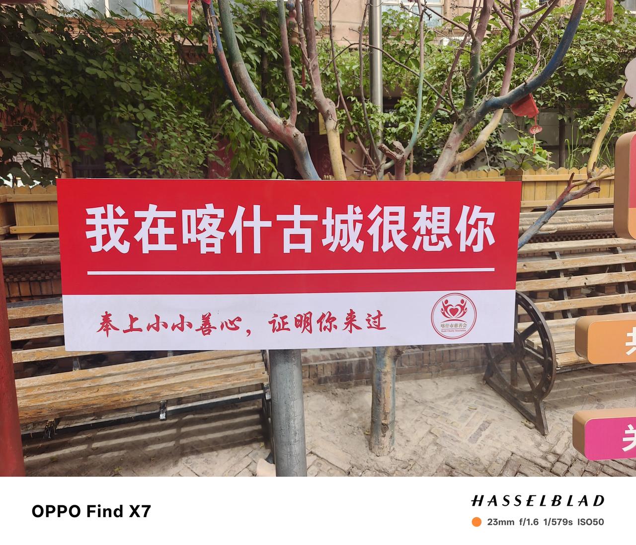 甘新游记·第十二天｜奔赴喀什古城，一路萌娃扰眠，老城烟火入心
 
连夜火车奔赴喀