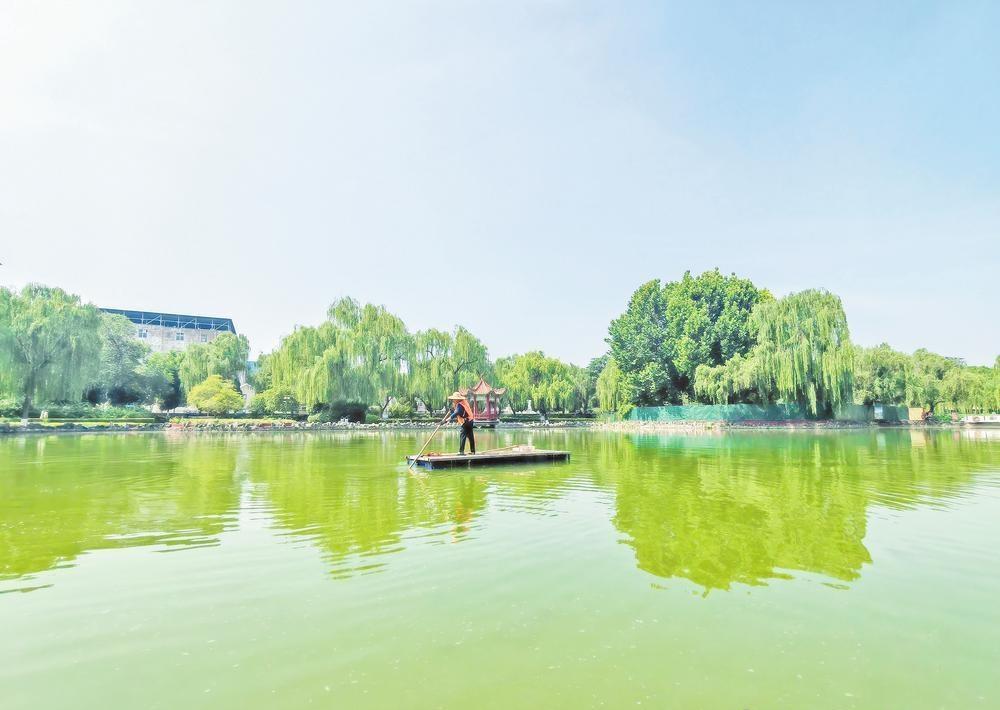【擦亮城市水名片】推动文明城市创建提升 迈向更高质量更高水平 

近日，清趣园内