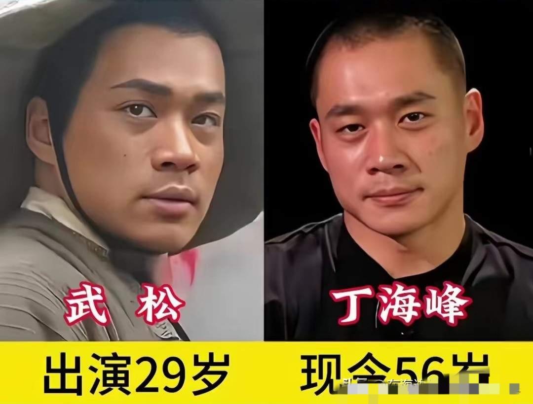 丁海峰扮演的武松
宋文华扮演的武大郎
何晴扮演的李师师
三位实力派演员，把这三个