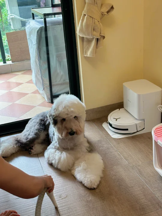 大家帮我看看，孩子洗完澡是不是有小情绪了？