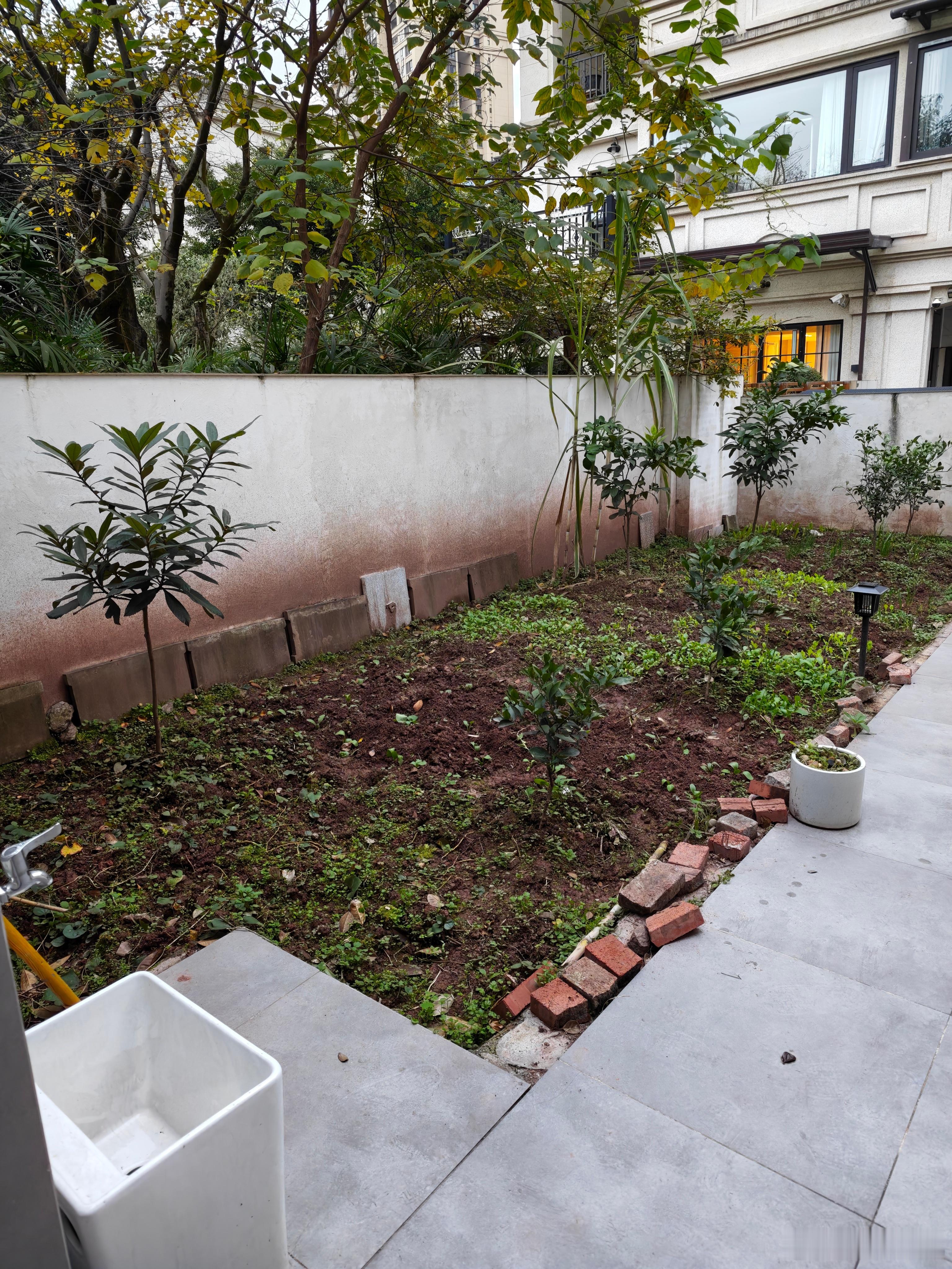 小时候理想的生活，自己家的菜园子，菜种上已经开始冒头了，以后吃自己家里种的菜，吃