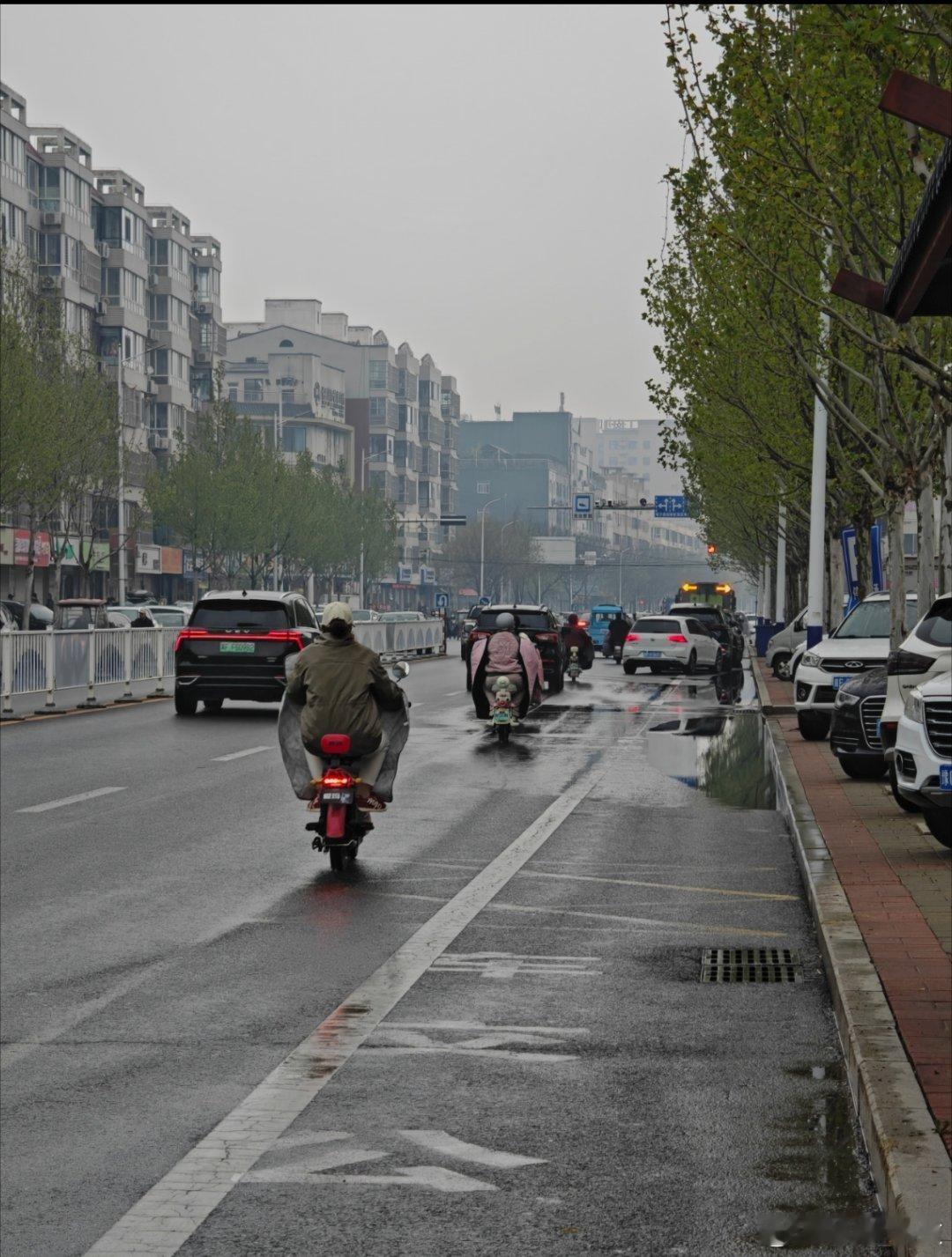 vivo 雨后的清晨，雾蒙蒙。雨雾里，整个世界都有了不一样的色彩。早上好！早上好