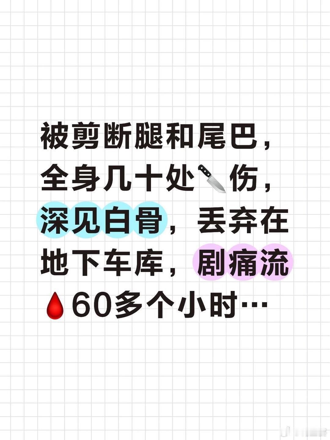 -太可怕了，还专门问哪里没有监控，这分明就是蓄谋已久的这种人，这种事，不及时重视