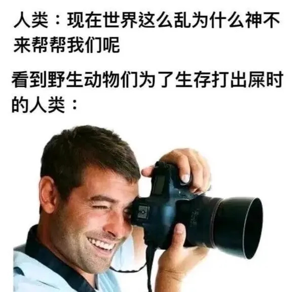 哈哈有点意思 