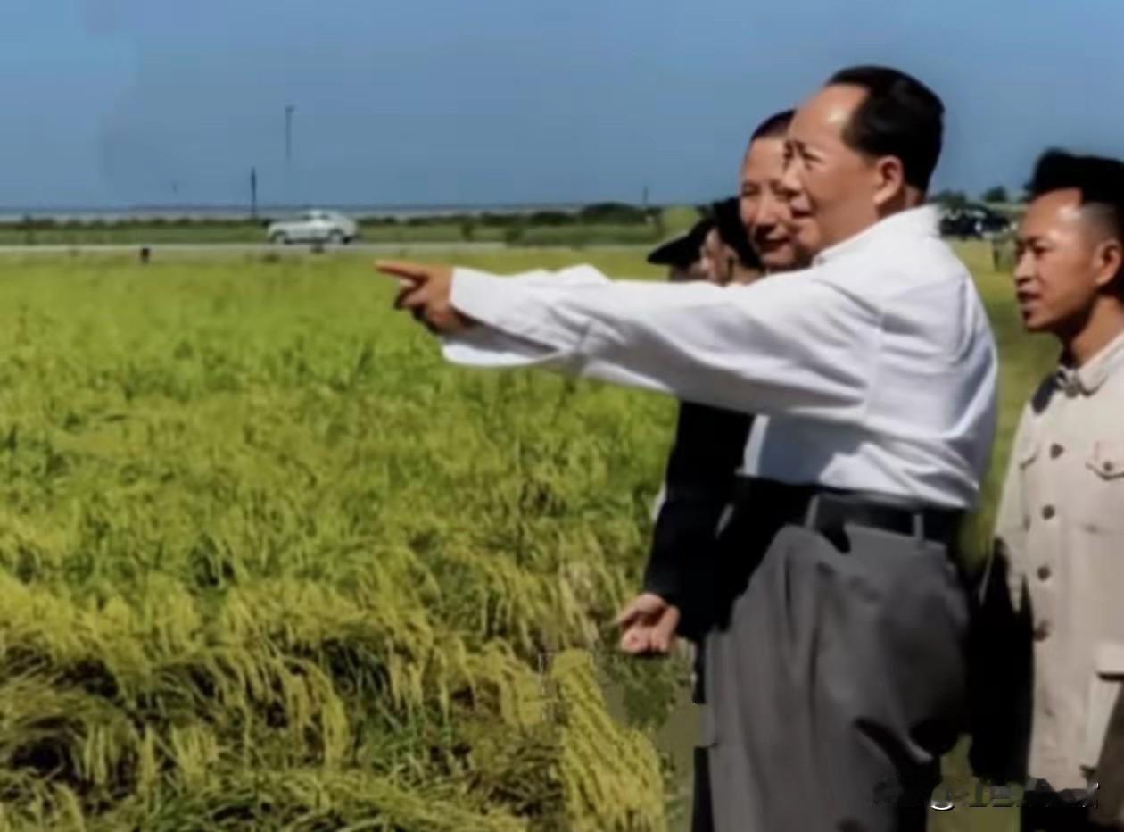 为人民服务[玫瑰][玫瑰][玫瑰][玫瑰][玫瑰][玫瑰][玫瑰]