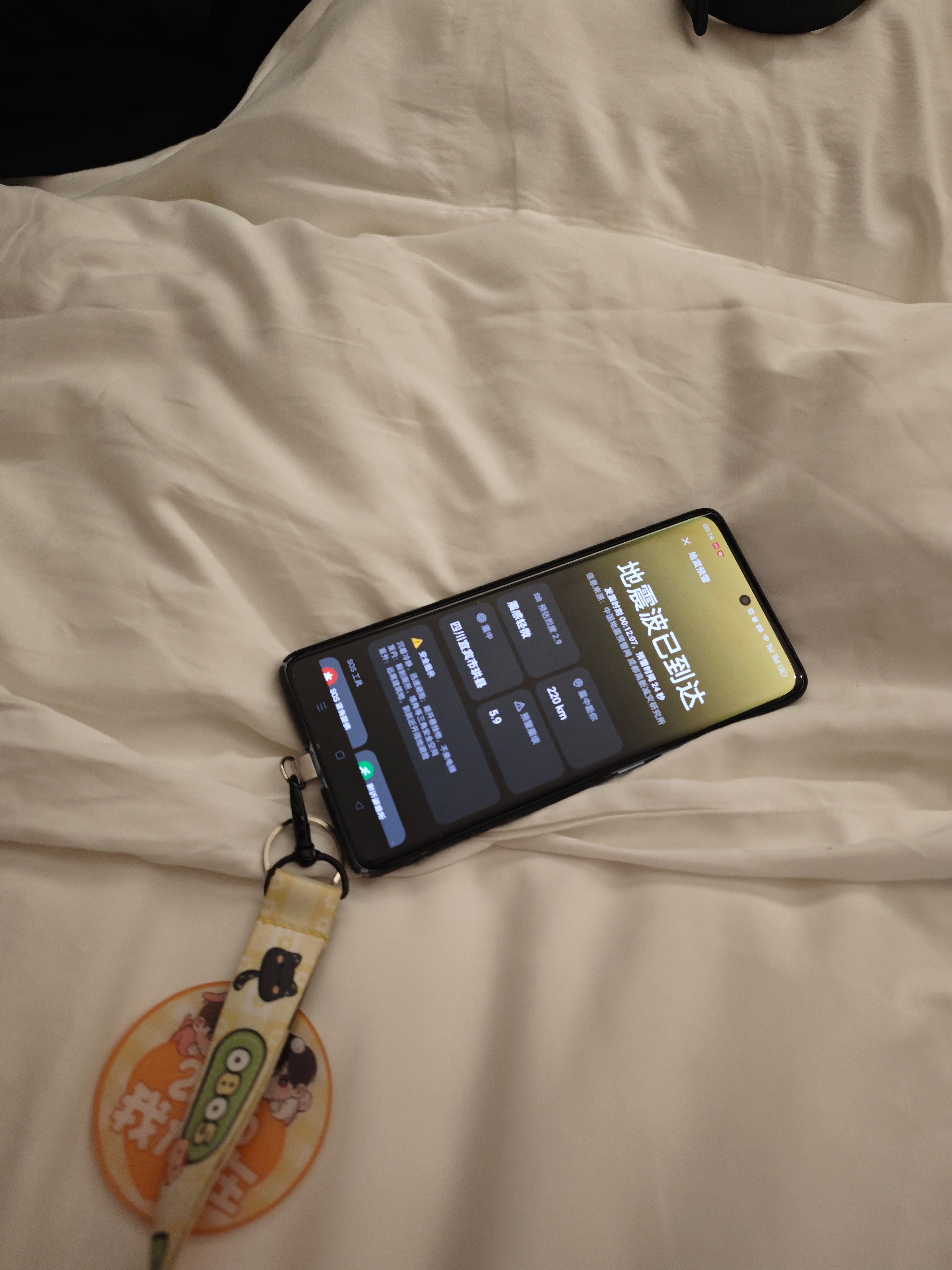 第一天来，不用这样哄我睡觉的重庆 重庆·解放碑步行街