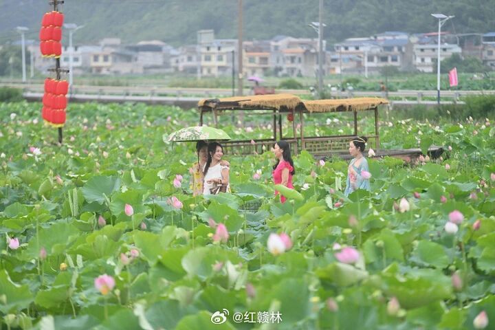 赣州早安 生活是自己的，没必要用别人的尺子丈量自己的人生，用别人的标准定义自己的