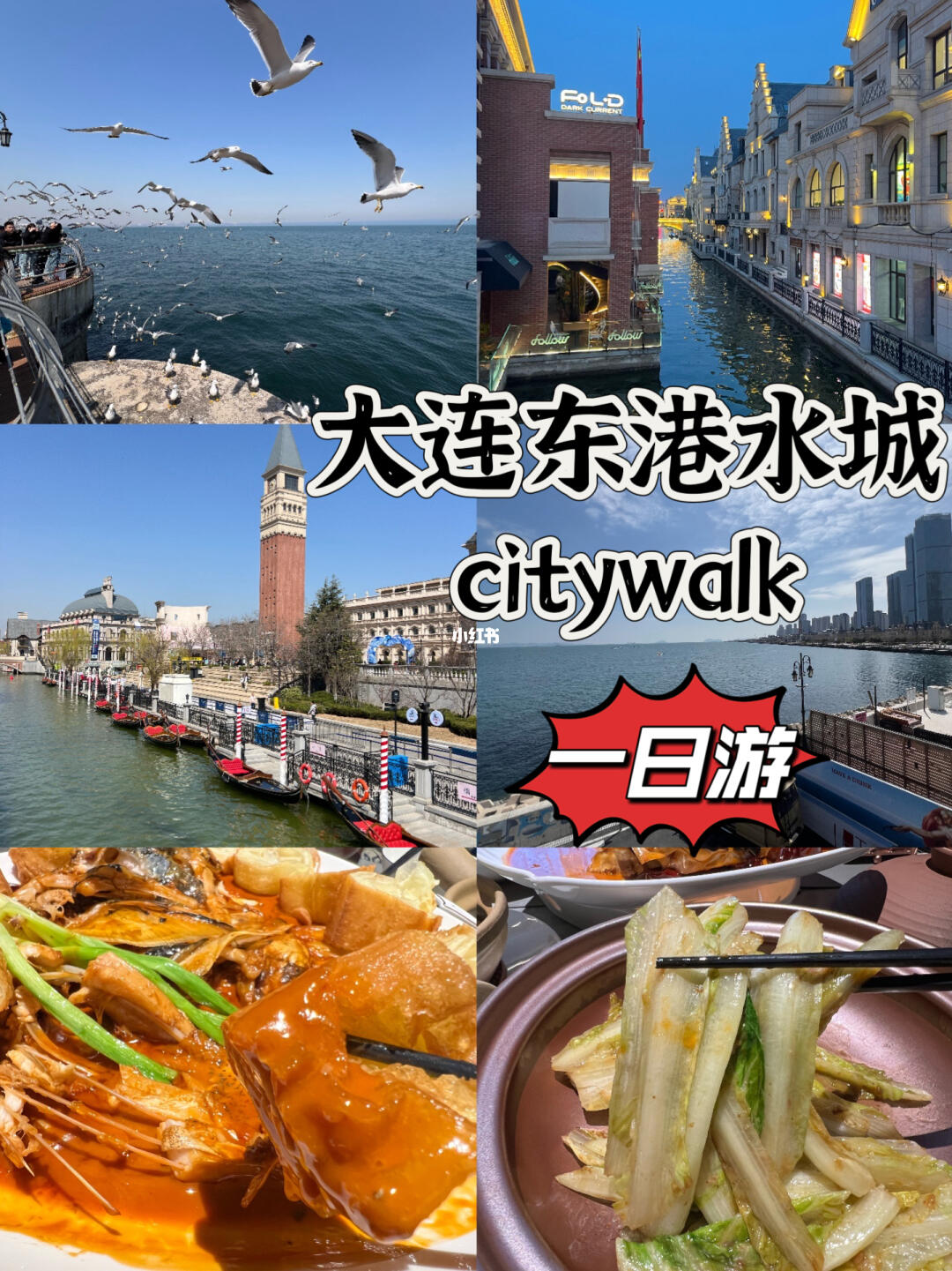 大连东港一日citywalk攻略！本地人吐血整理