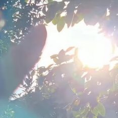 阳光信用 阳光有幸，不负前行。 
