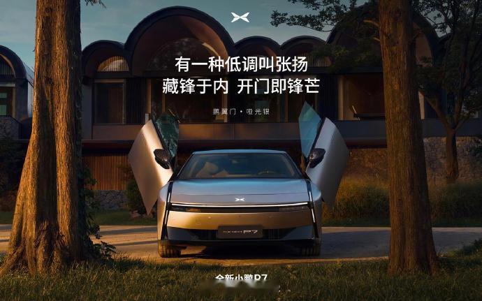 小鹏新P7当时拍摄的时候我就想一定要出鹏翼门怎么样，好看不[嘻嘻]1-10分，你