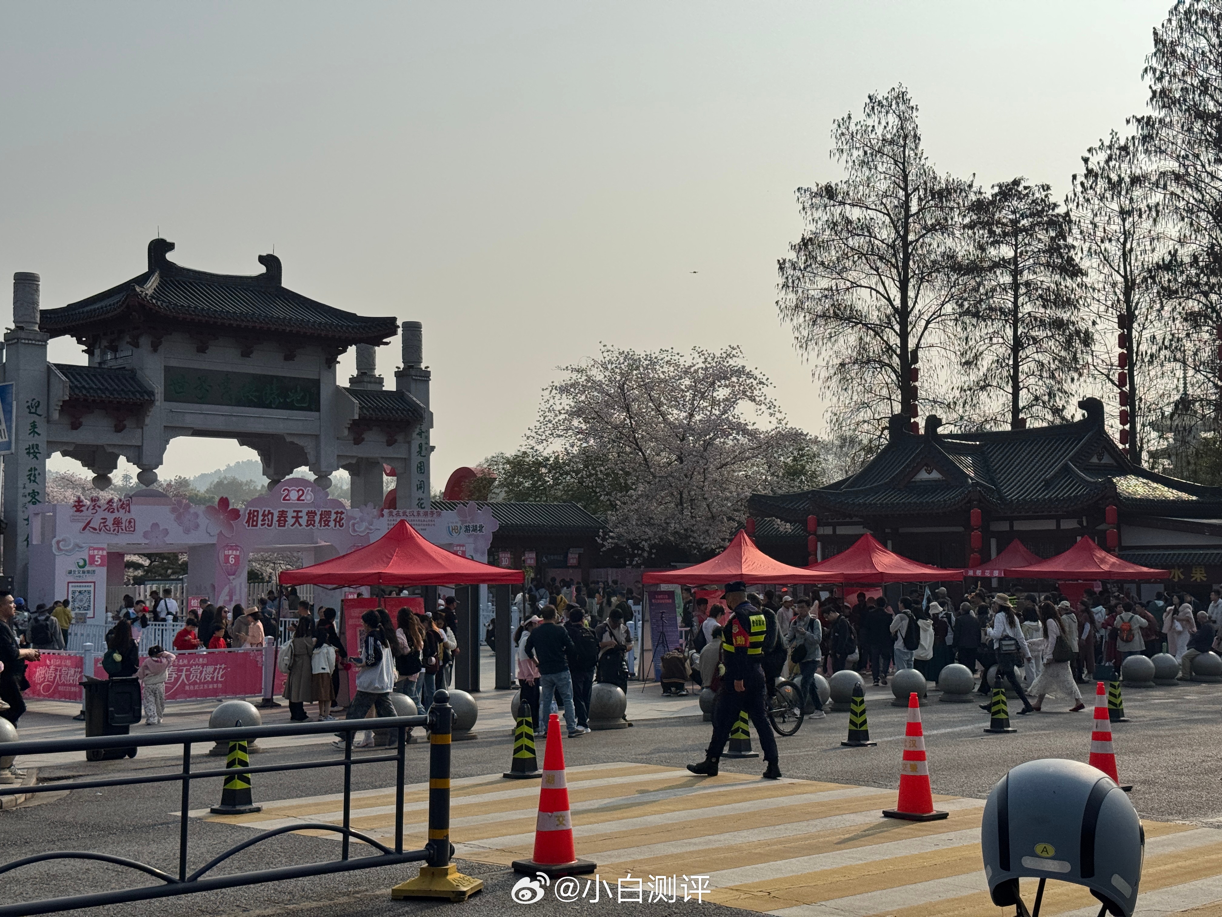 今天武汉天气真不错，八点半的东湖樱花园已经排长队了，接下来几天又要下雨，想要看樱