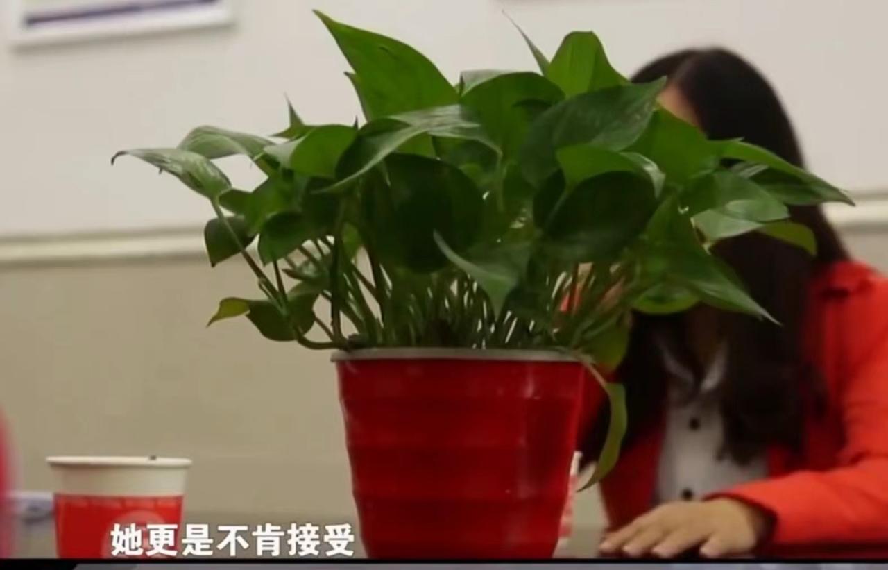 四川一男子，老婆给他生了个儿子。可他却在妹妹的挑唆下，瞒着还在坐月子的妻子，悄悄
