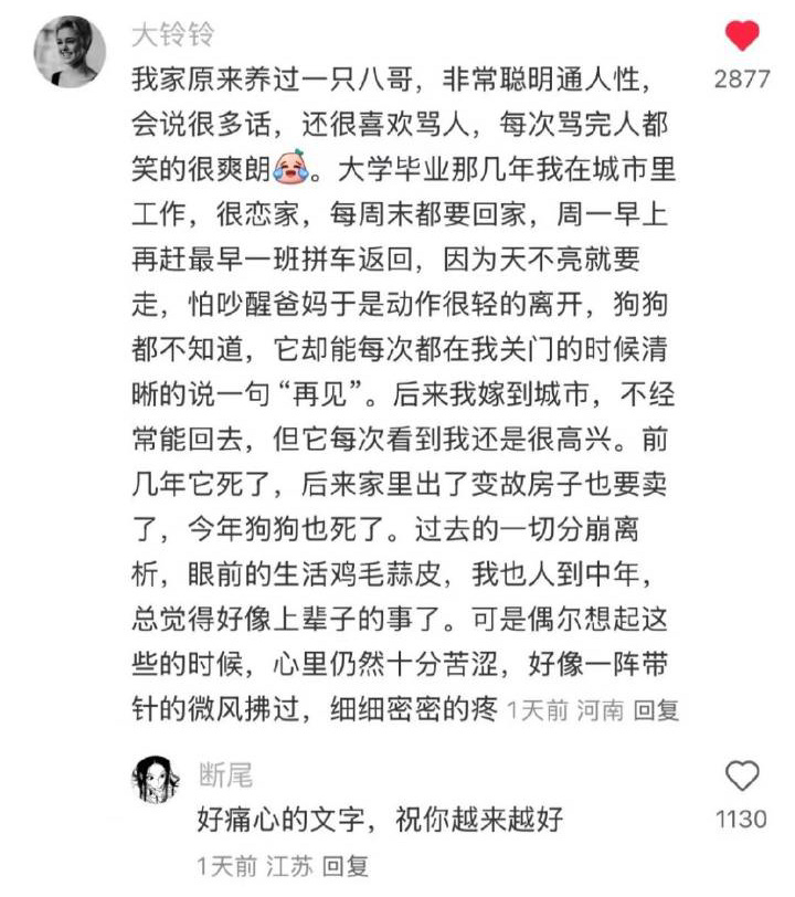看完想哭。 ​​​