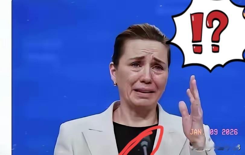 不要滥施同情
  这就是丹麦的首相

丹麦在国际事务中表现出摇摆不定，妄图依靠美