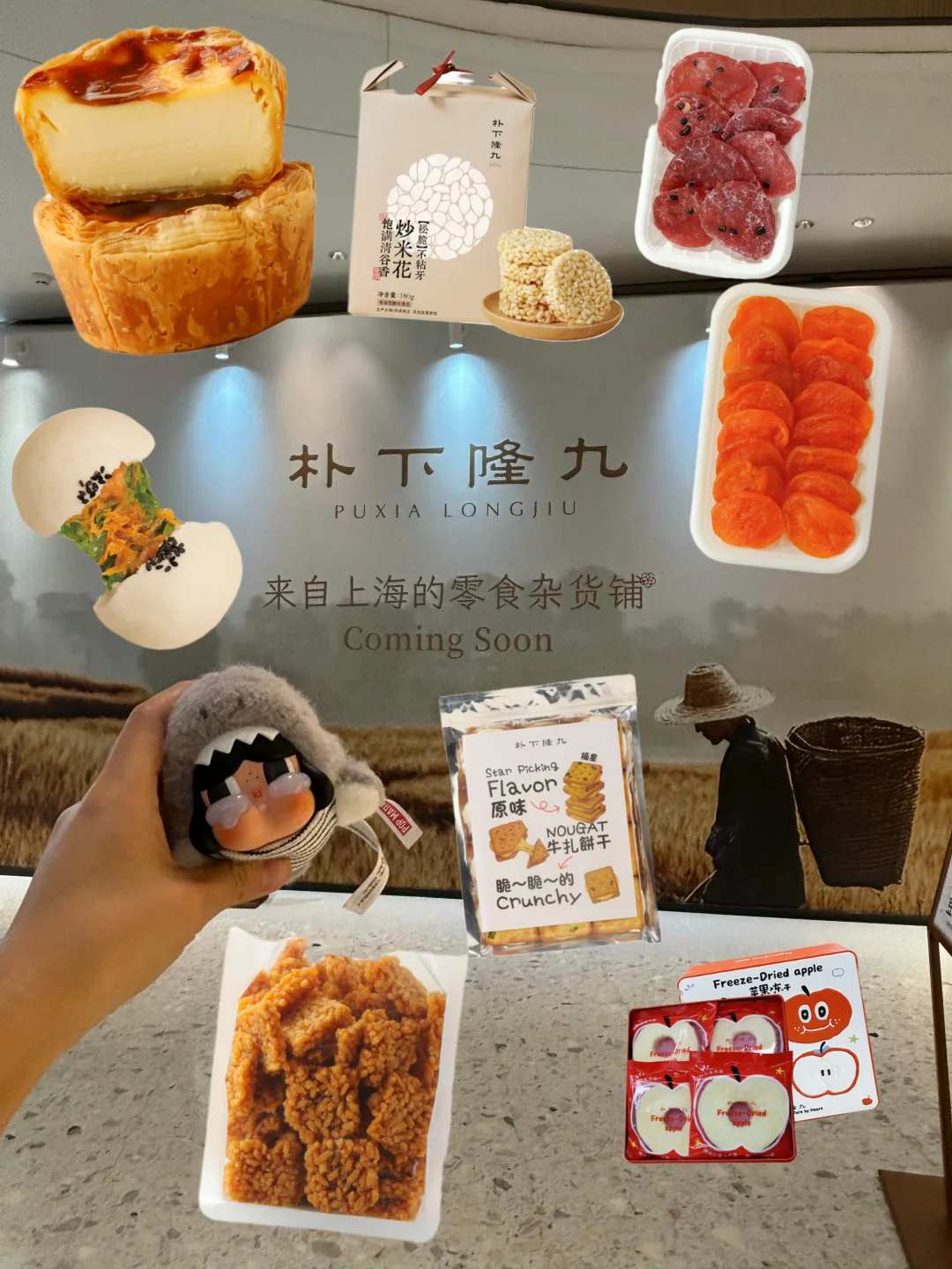 万象汇围挡上新❗️上海网红零食铺要来金阳啦