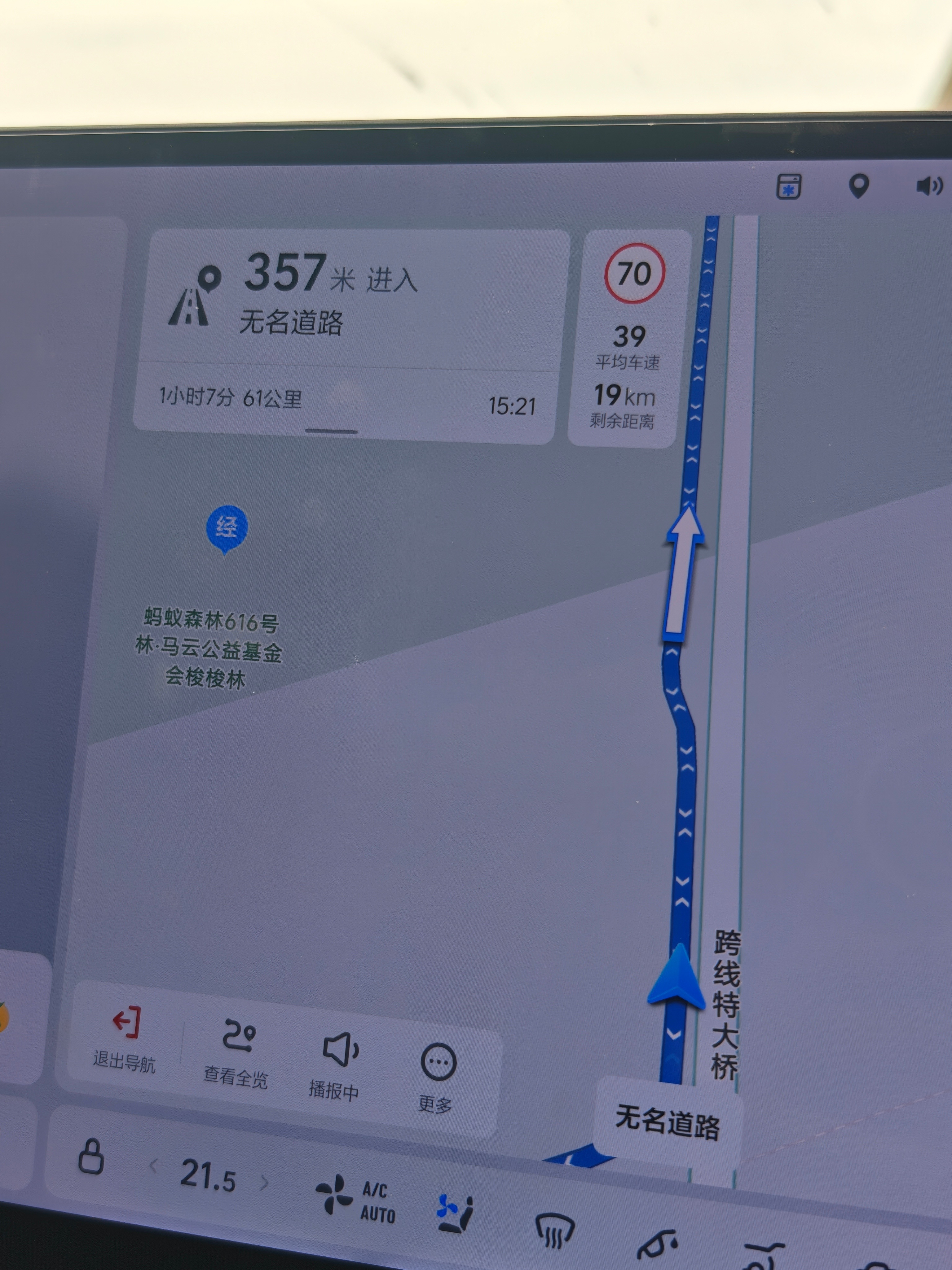 215国道路过一片蚂蚁森林，终于看到实物了，和想象中确实不太一样[允悲] ​​​
