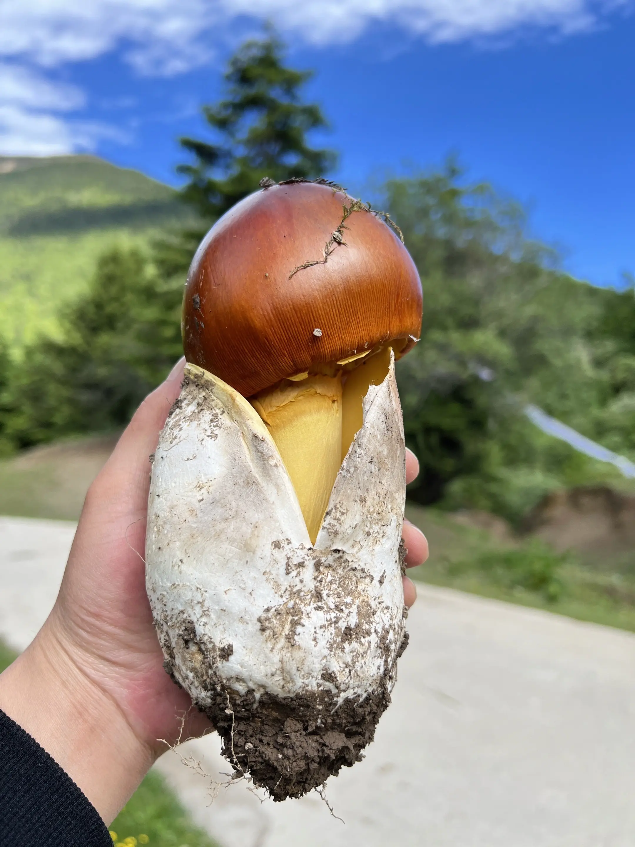 最美的风景一直在路上