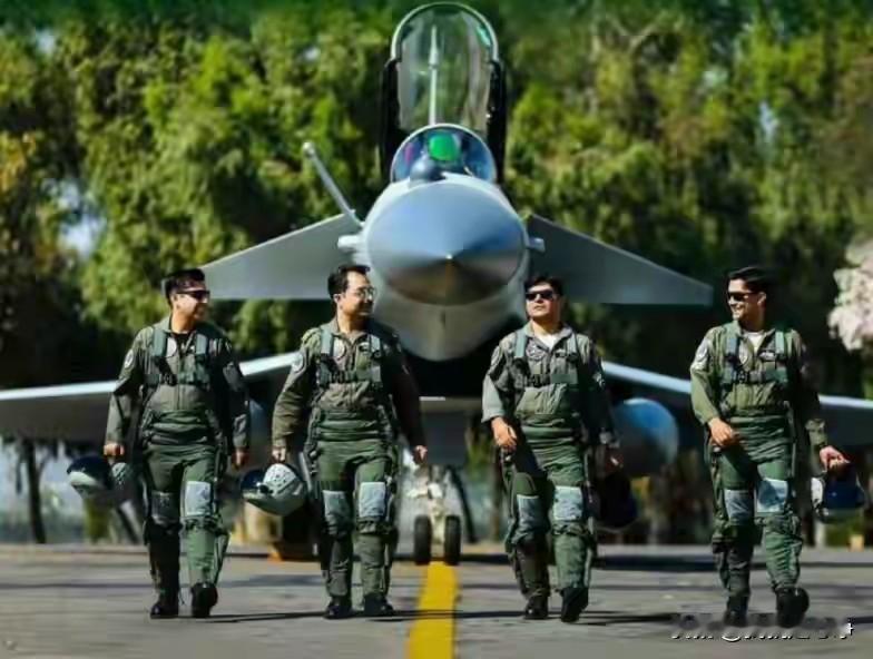 当你真正了解了巴基斯坦军方是一股团独立的政治势力之后。
后面的问题就迎刃而解了。