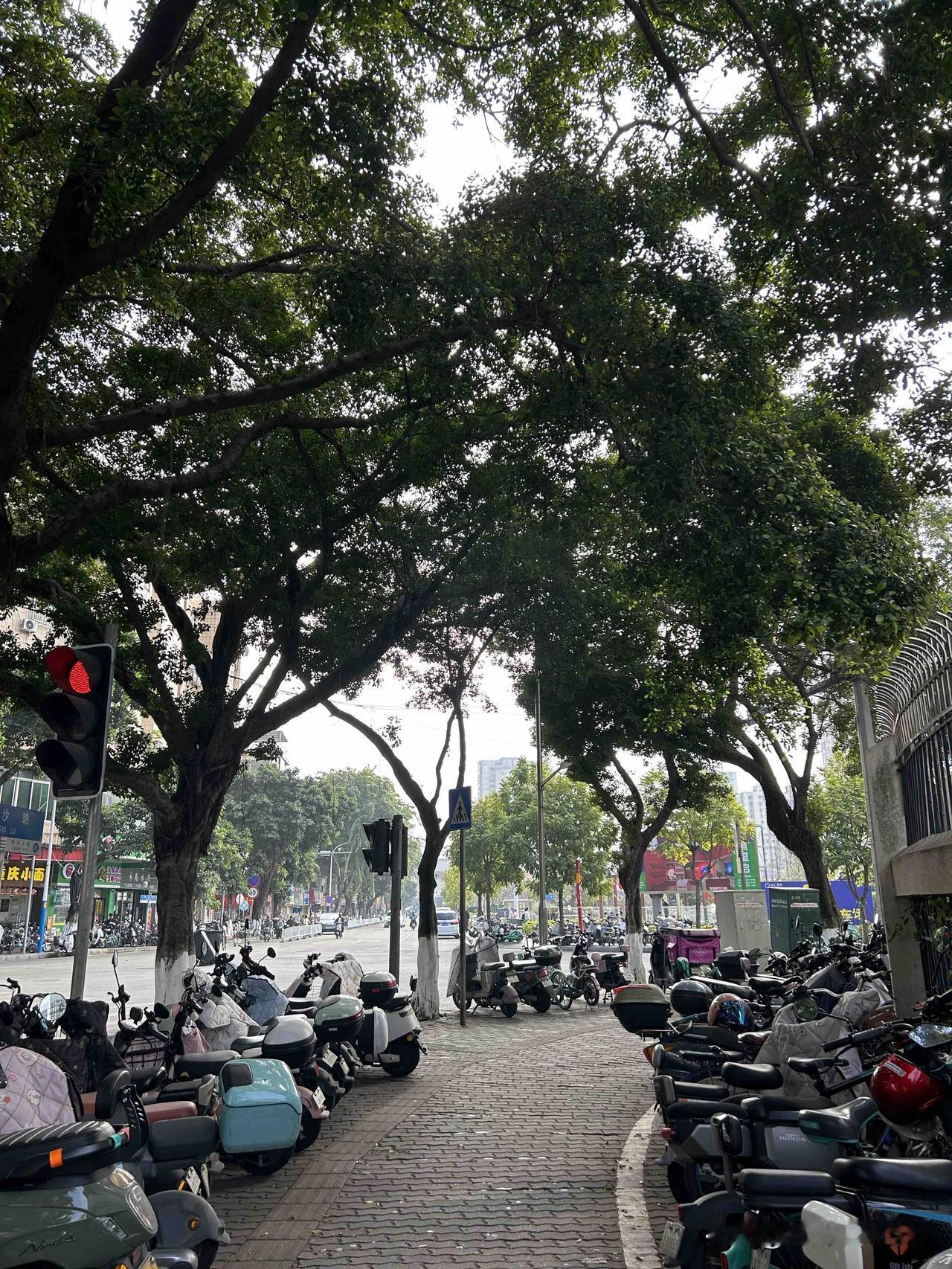 很多时候觉得小城市小地方的人，

就算是T制内 所谓局子里面的人，

感觉很多人