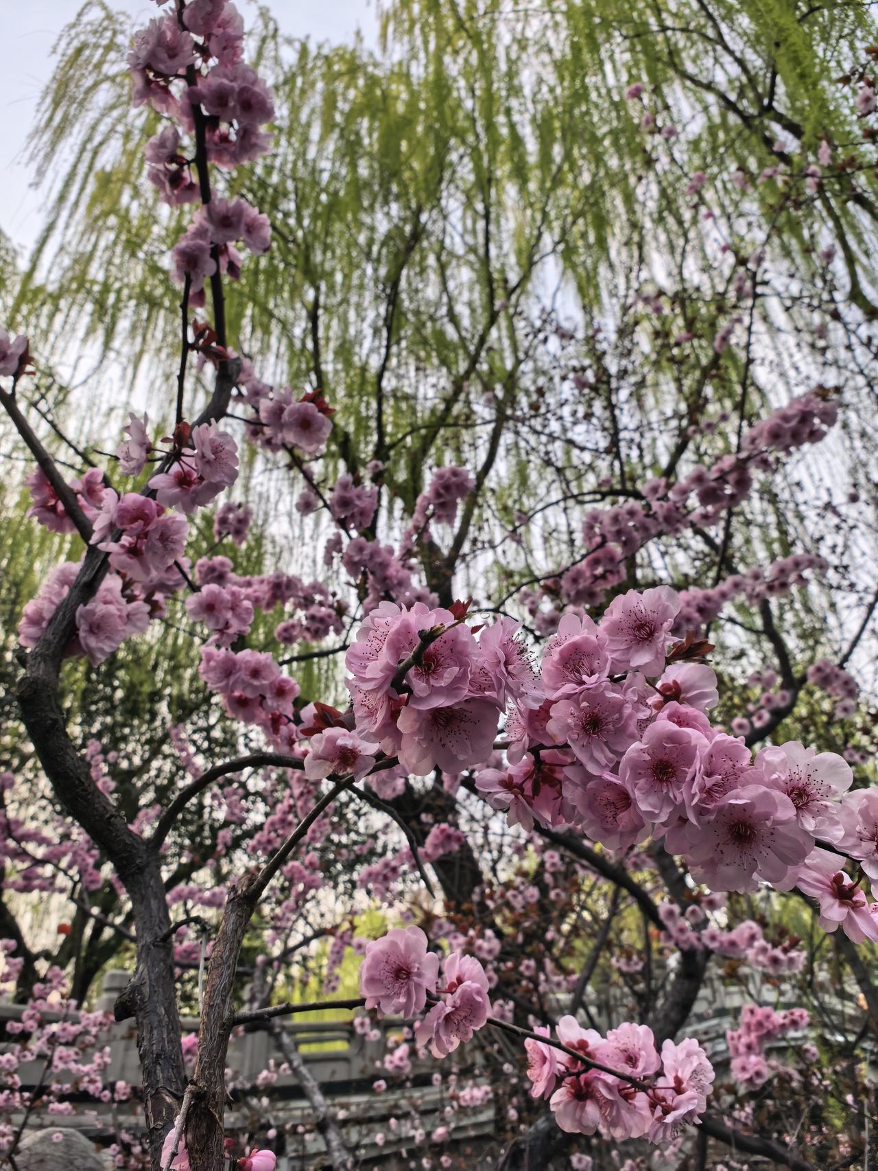 小富靠勤，中富靠德，大富靠天。