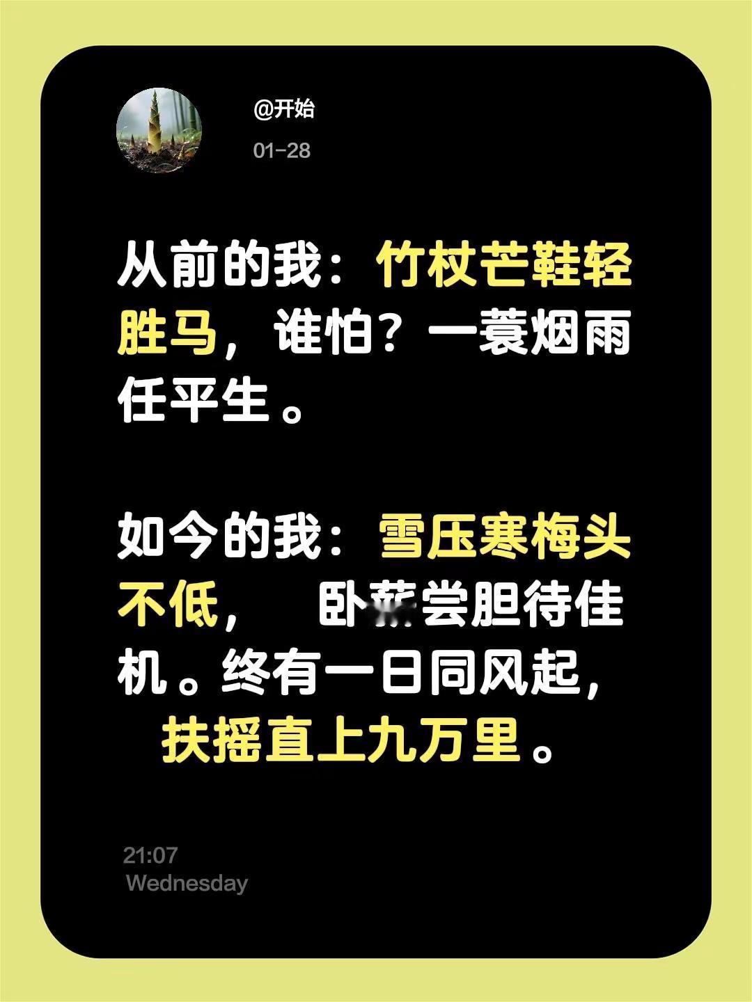 从前的我：竹杖芒鞋轻胜马，谁怕？一蓑烟雨任平生。如今的我：雪压寒梅头不低，卧薪尝