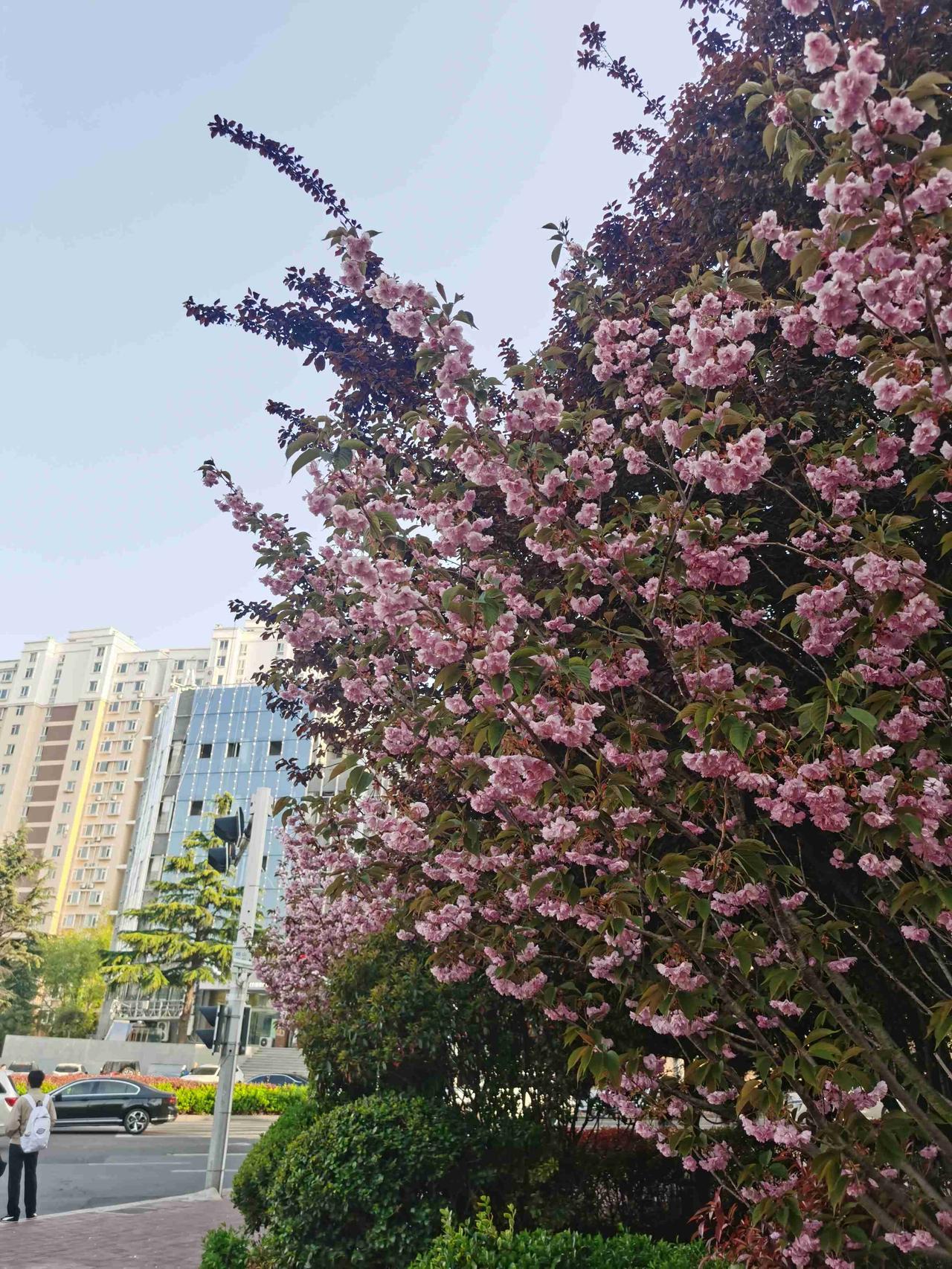 我的今日状态：😁轻松愉快
我这里的天气：☀️晴天