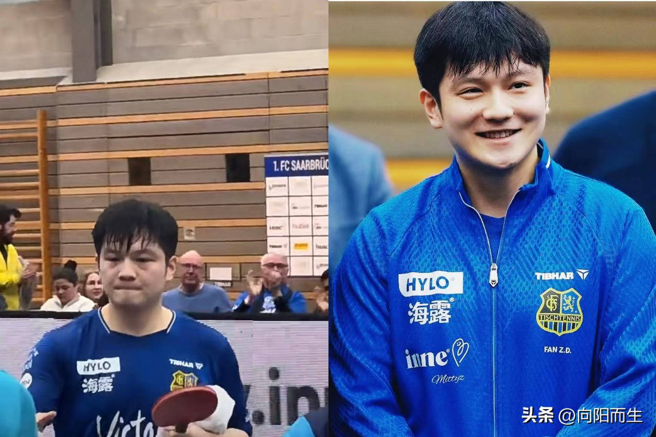 樊振东独拿2分难救主，
萨尔布吕肯2-3惜败！
 
今天凌晨德甲联赛第20轮，樊