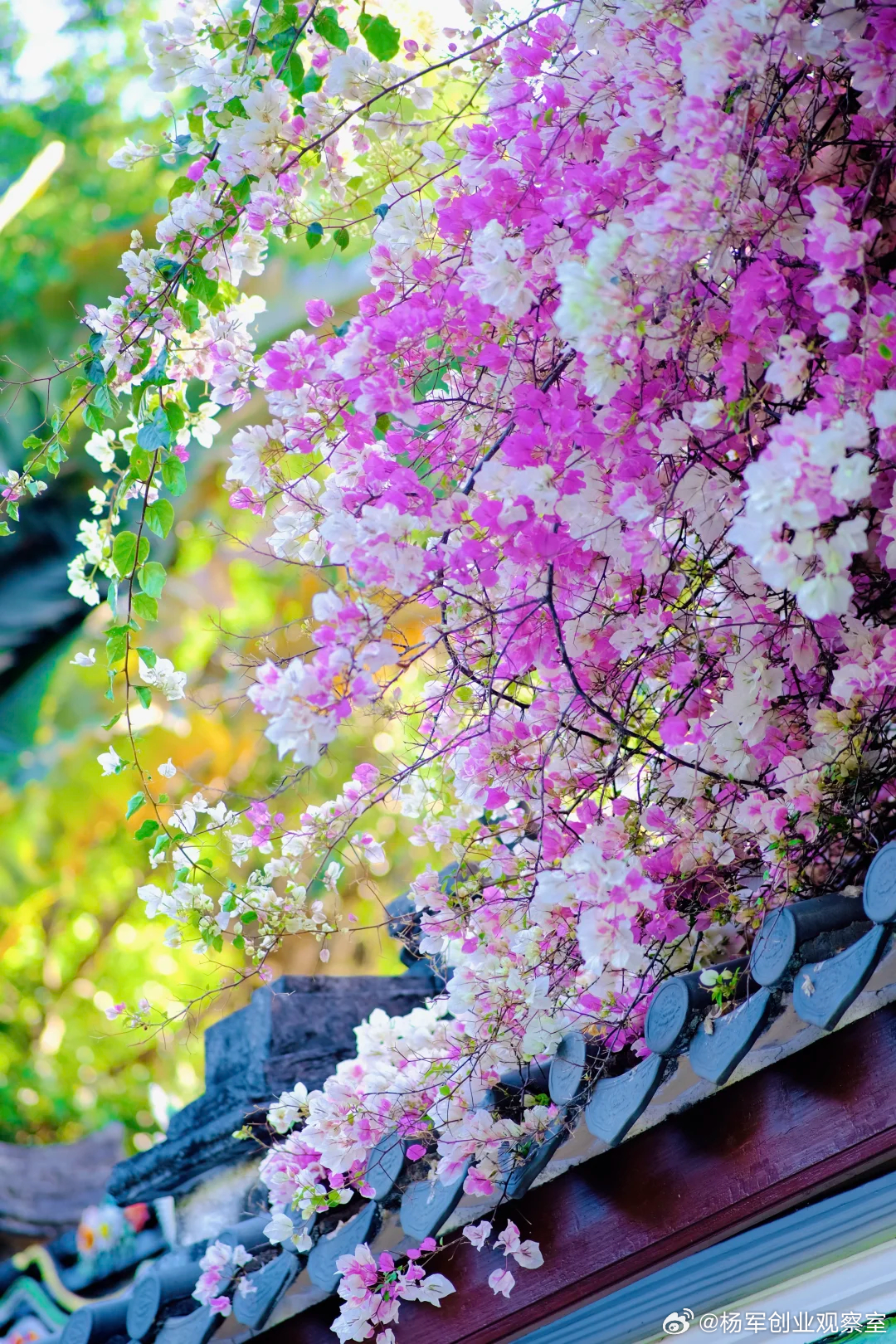 从“利益共同体”到“命运共同体”的关键一跃，在于虚拟股设计。它是通过“投入绑定”