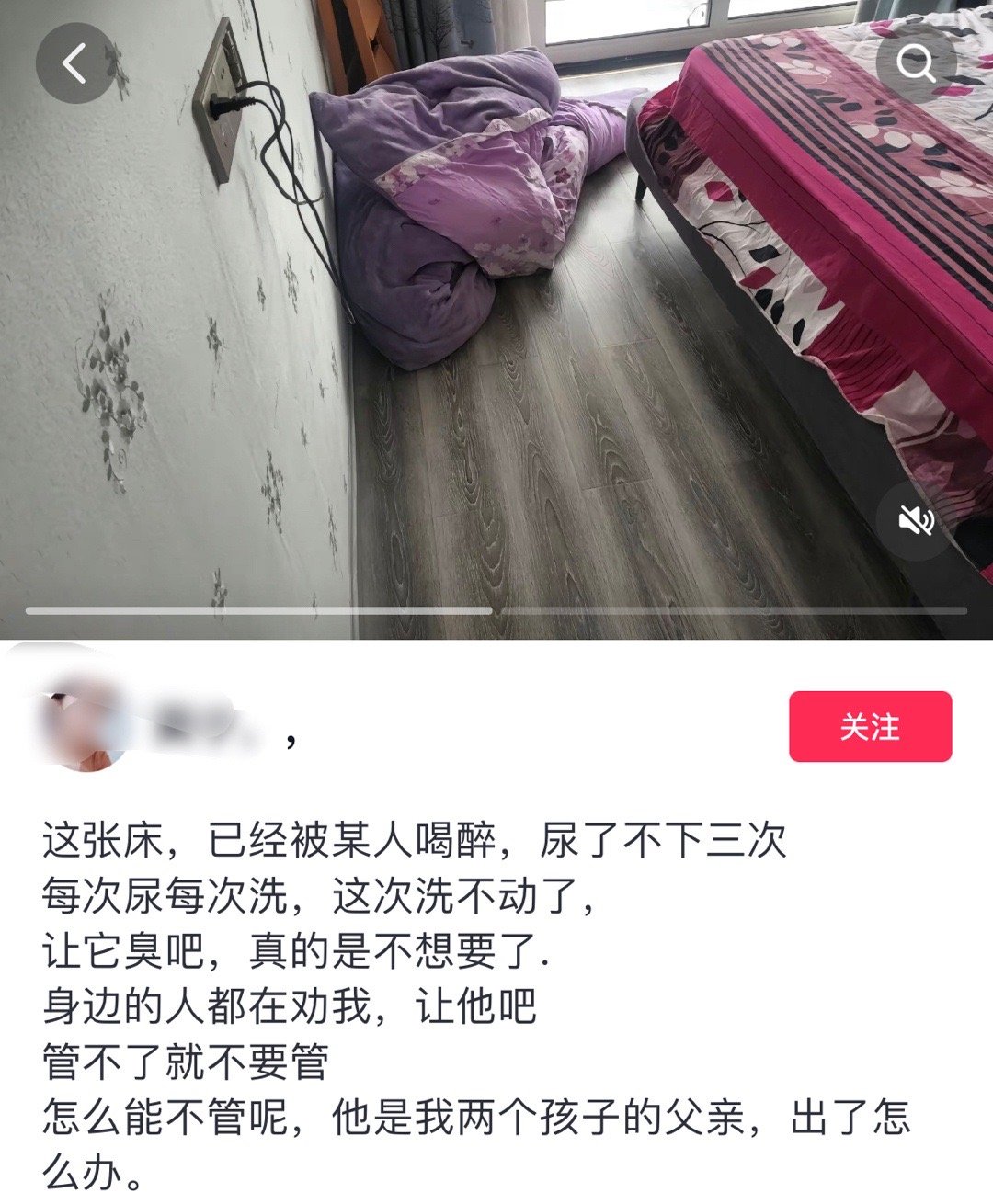 #新年plog接龙#我家猫就算睡得五迷三道起来了也知道去她的猫砂盆上厕所[衰] 