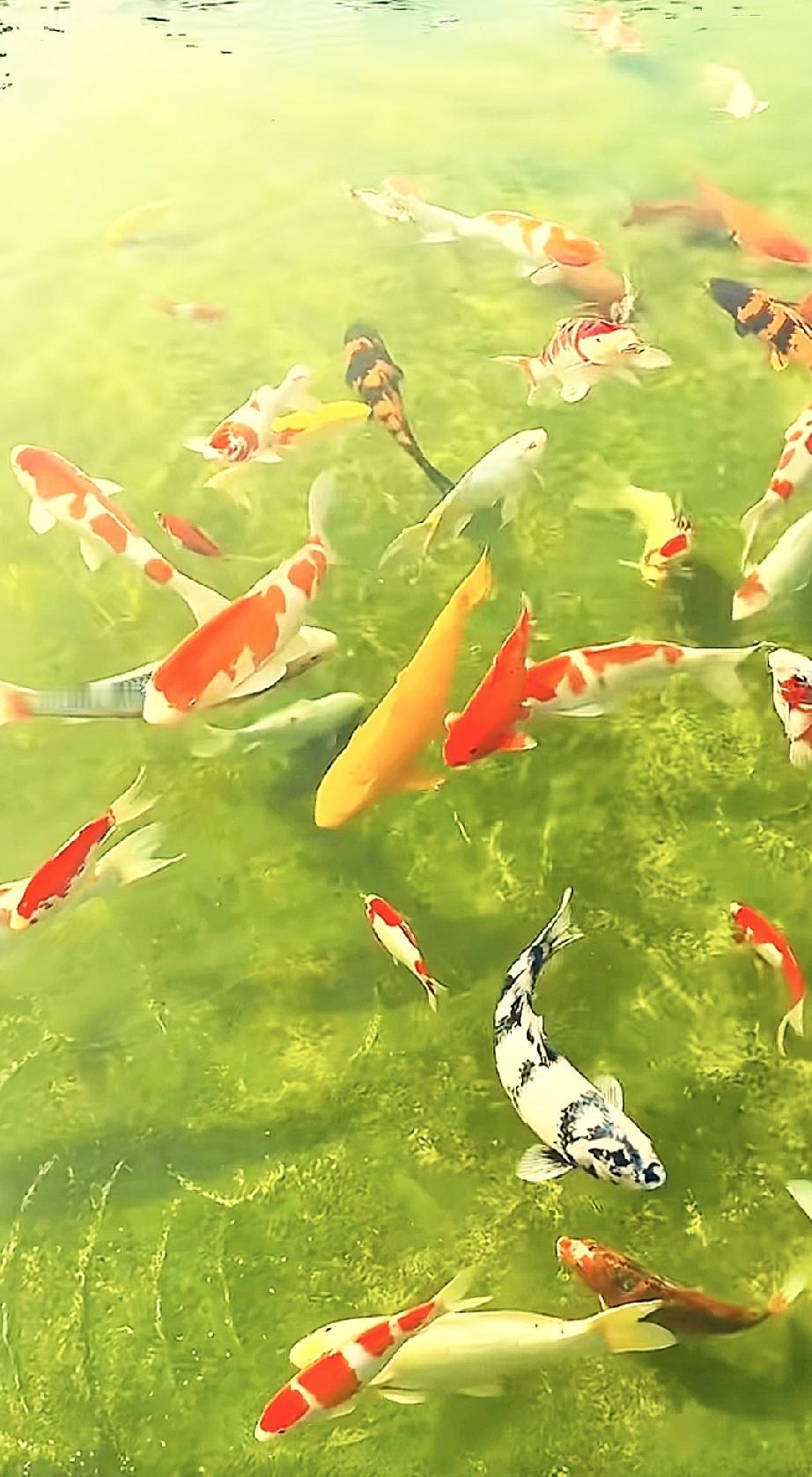 约好在初八，从小一起长大的发小聚会，回想这么多年，虽没有太多的仕途、经济、利益方