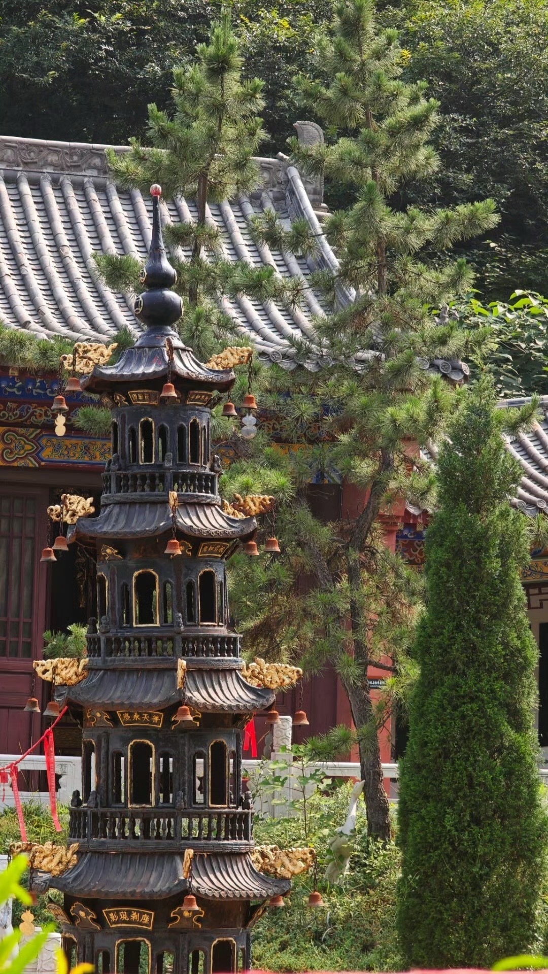🙏 五月做的一场健康法事，今天收到了回音。这位善信当时是为父亲做的，老人家身体