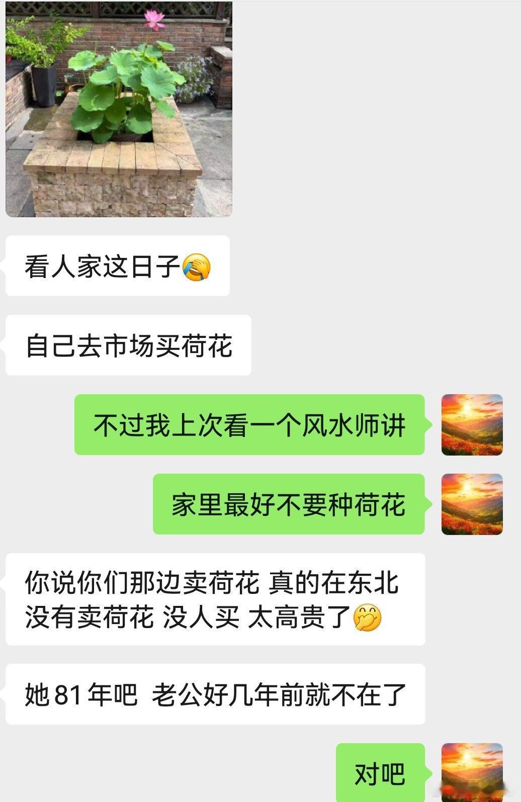 荷花可以远观、欣赏，但是家里一般不建议种荷花哦。 