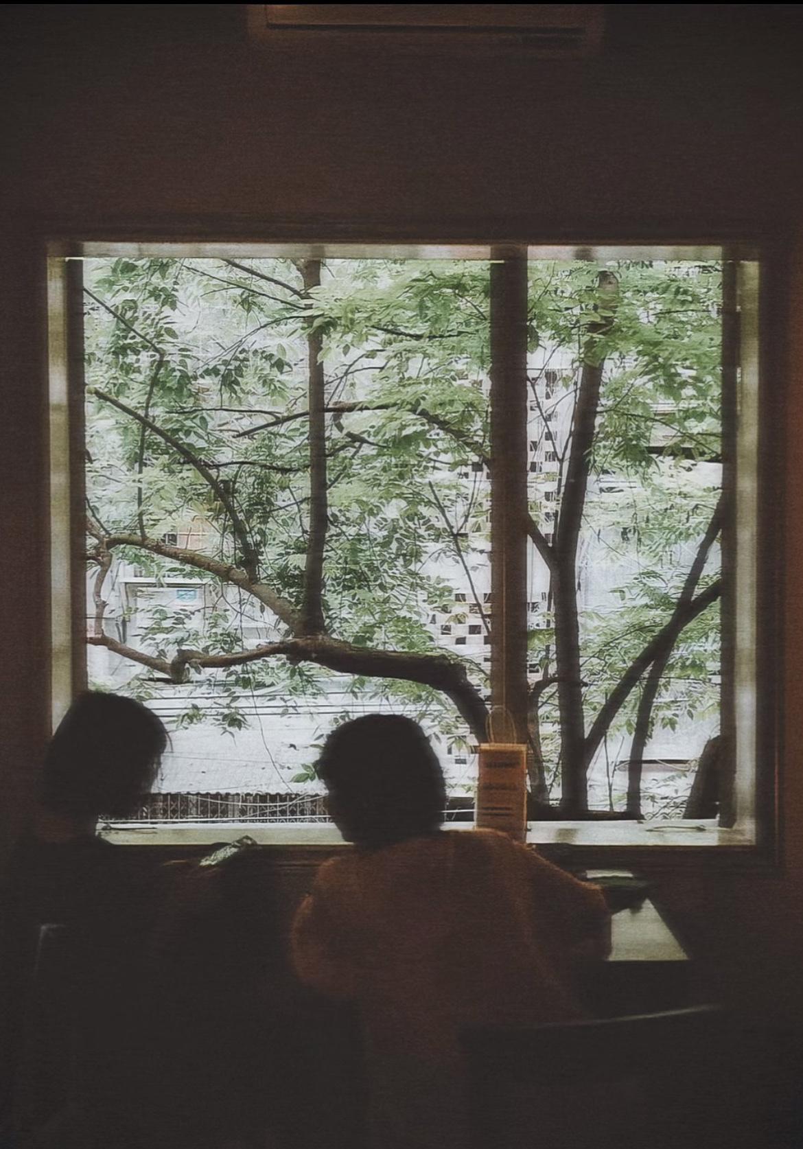 冬雪映红梅

2. 春风拂绿丝

3. 夏雨润青禾