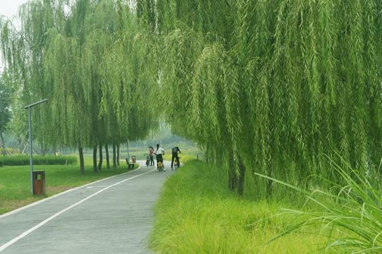 春风拂柳千山绿
政策归心万众欢
横批：普天同庆
[微风][微风][微风][微风]