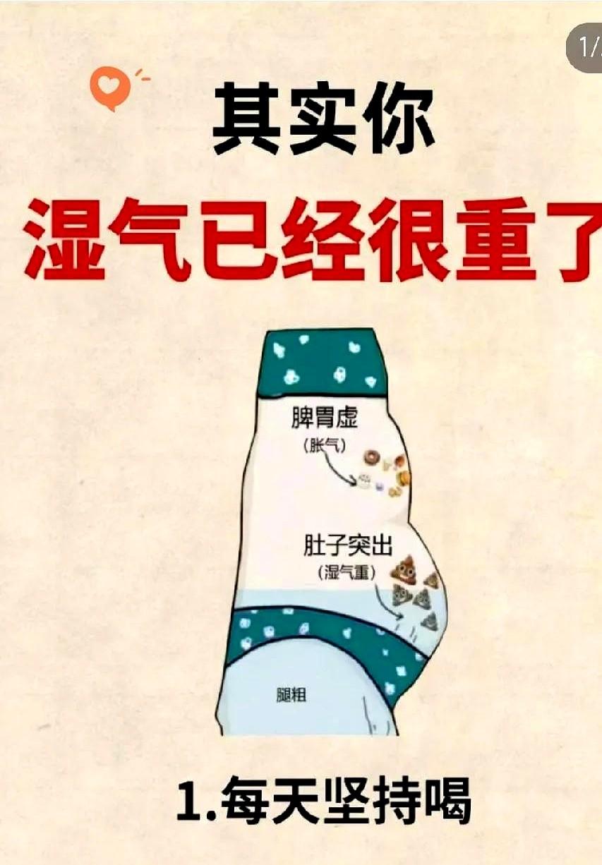 救命！原来我湿气这么重💦

有没有发现明明吃得不多，但肚子就是鼓鼓的？

我之