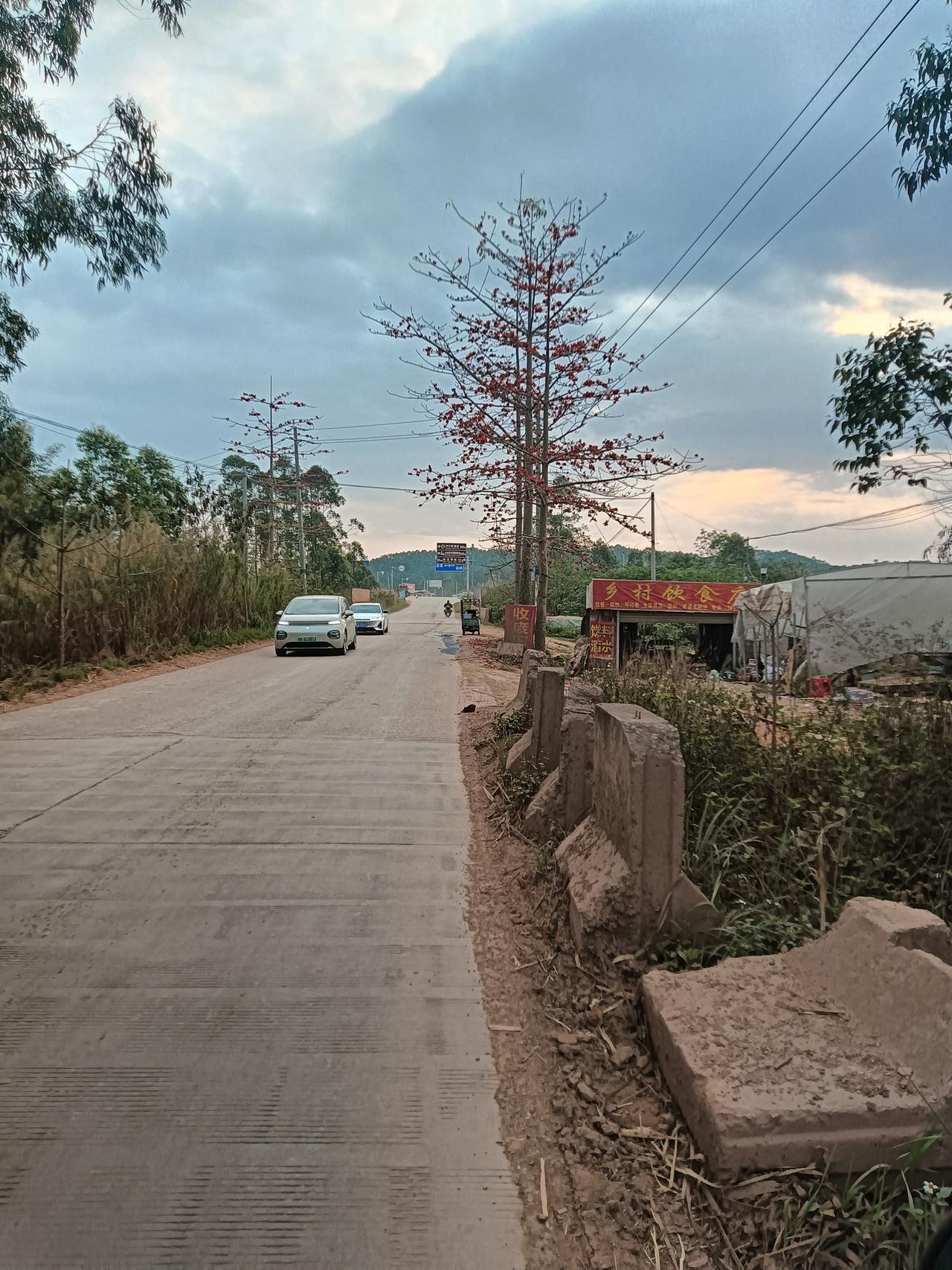 中午在贵港经过县道850去东津镇，沿途一路木棉花盛开乡村风景确是靓丽。到了冲口十