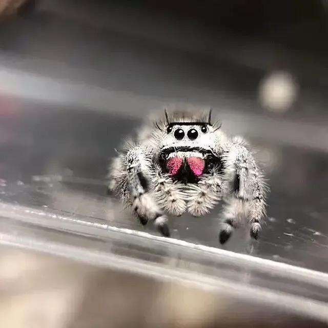 “三人不成席”源于祭祀文化、数字观念及社交互动。传统祭祀仪式中常摆放三盘祭品，且