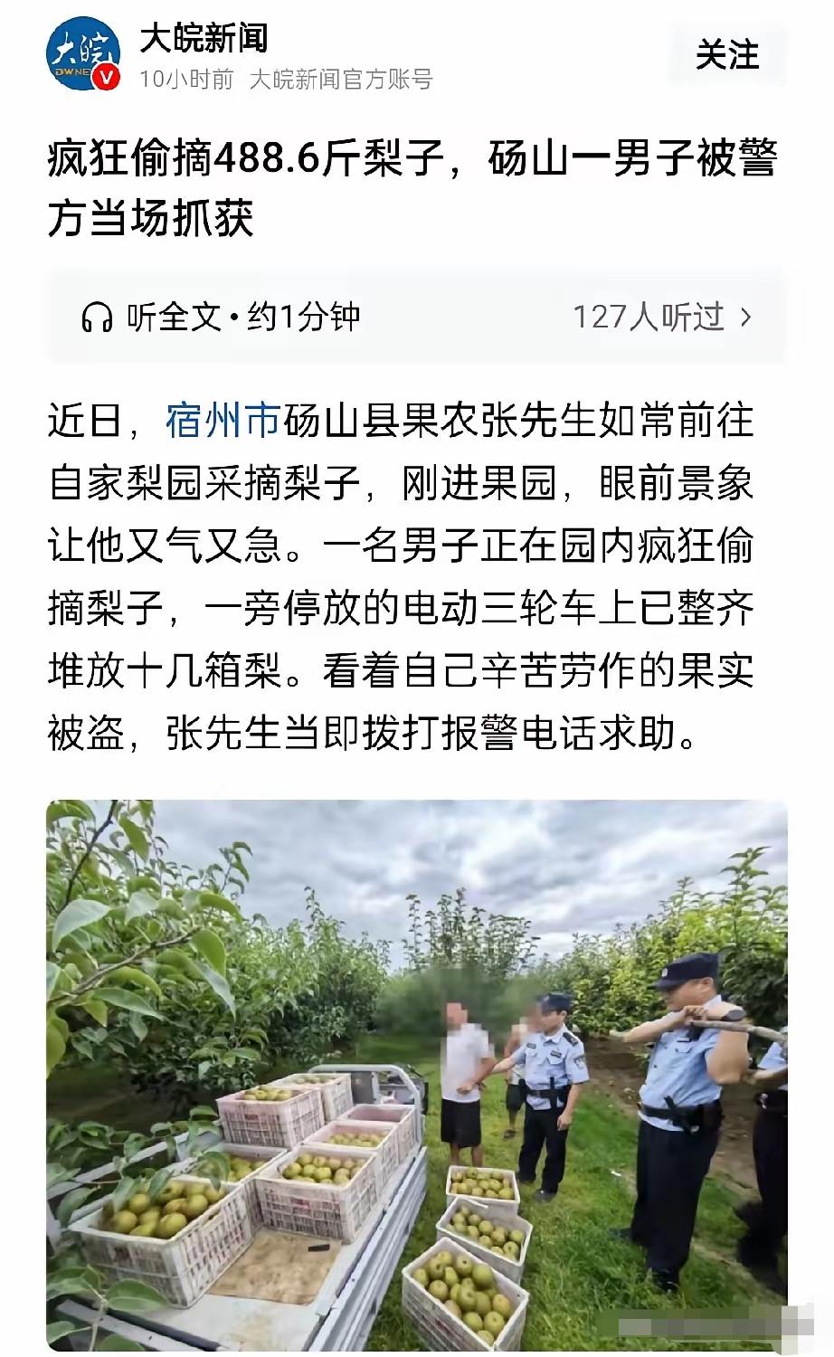 你这是要断我活路啊！”宿州，大叔去果园看梨子成熟程度，结果，看到让他愤怒无比的一