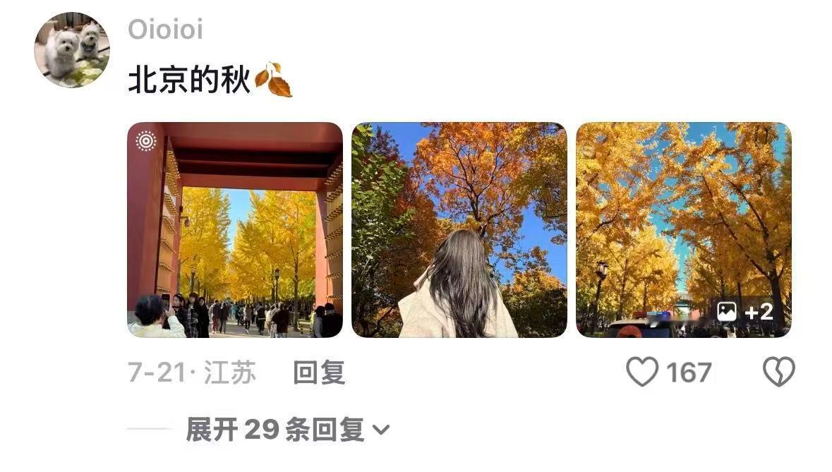喜欢旅游的人向往的地方 