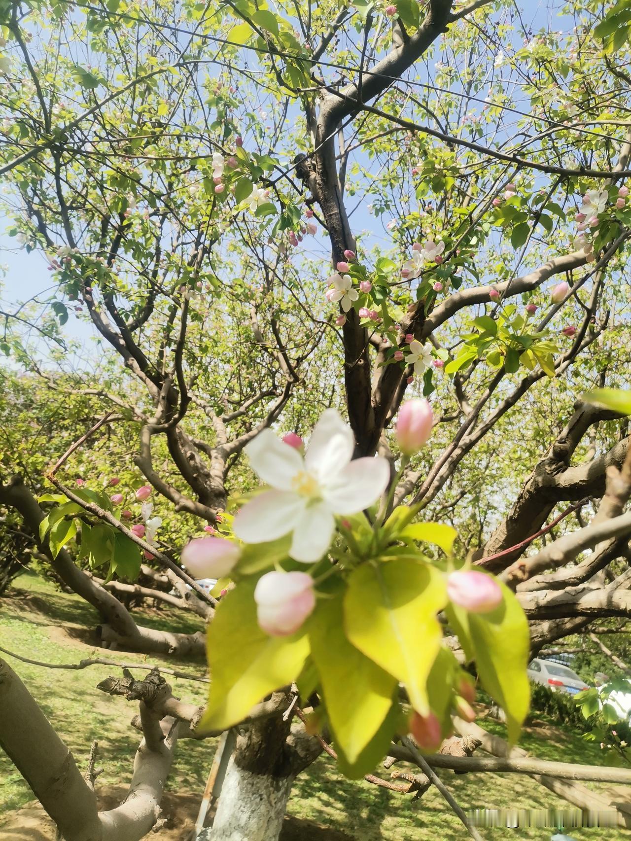 我特别向往且致力于一种人生：
向内求得仁义道德，向外求得功名富贵，这种内外都有所